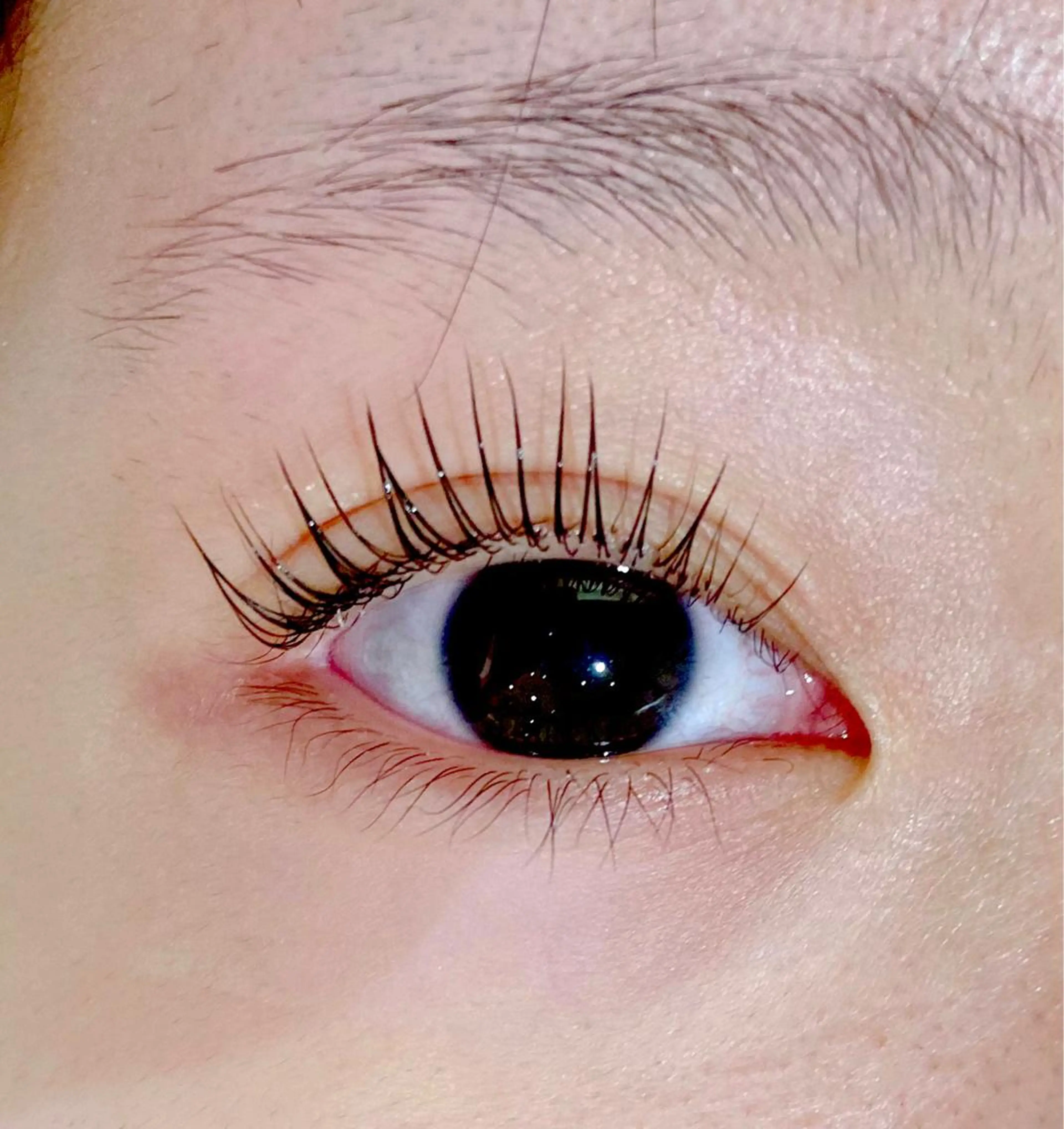 マツエク・マツパ パリジェンヌラッシュリフト Barretta 飯嶋のマツエク・マツパデザイン