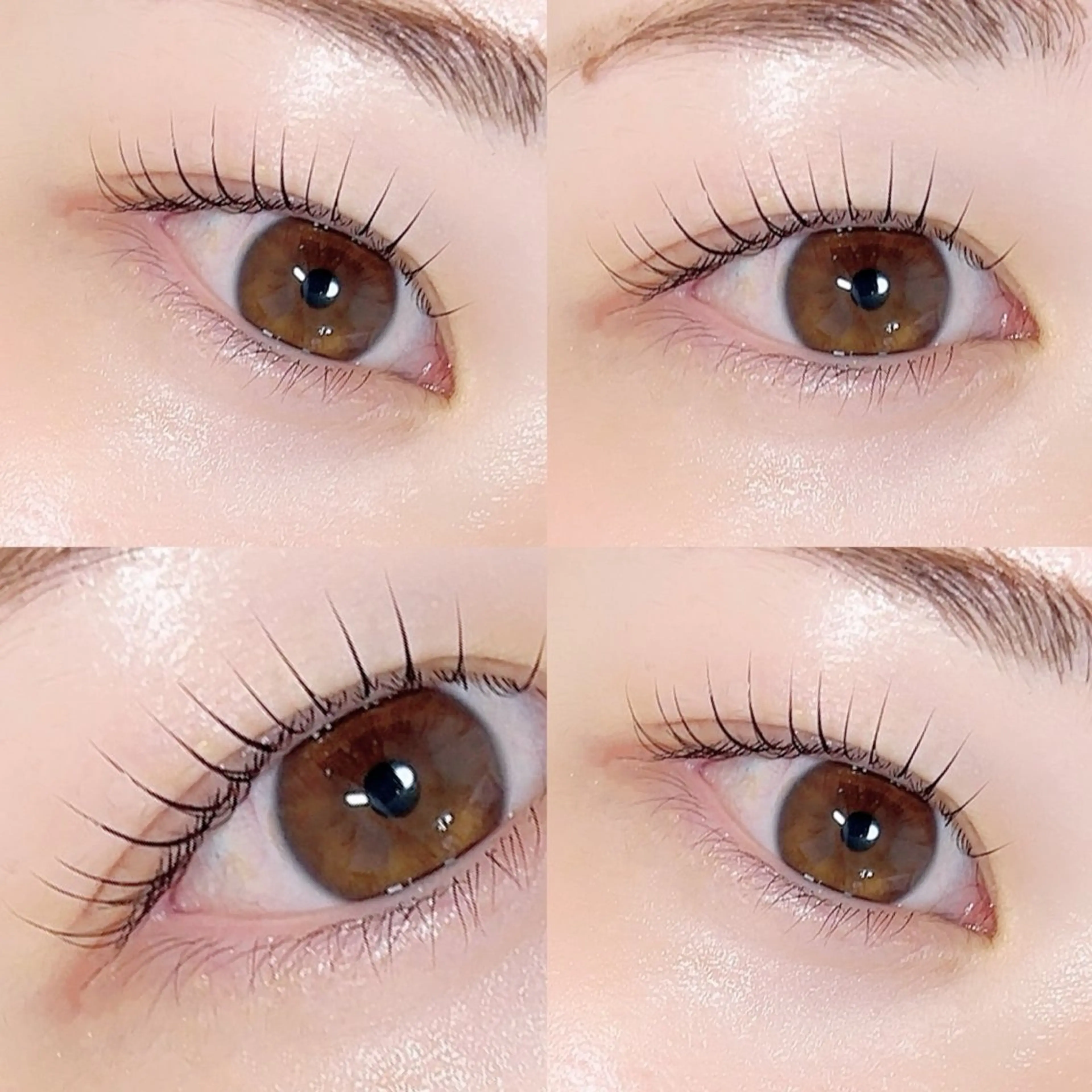 マツエク・マツパ Eyebii 森のマツエク・マツパデザイン