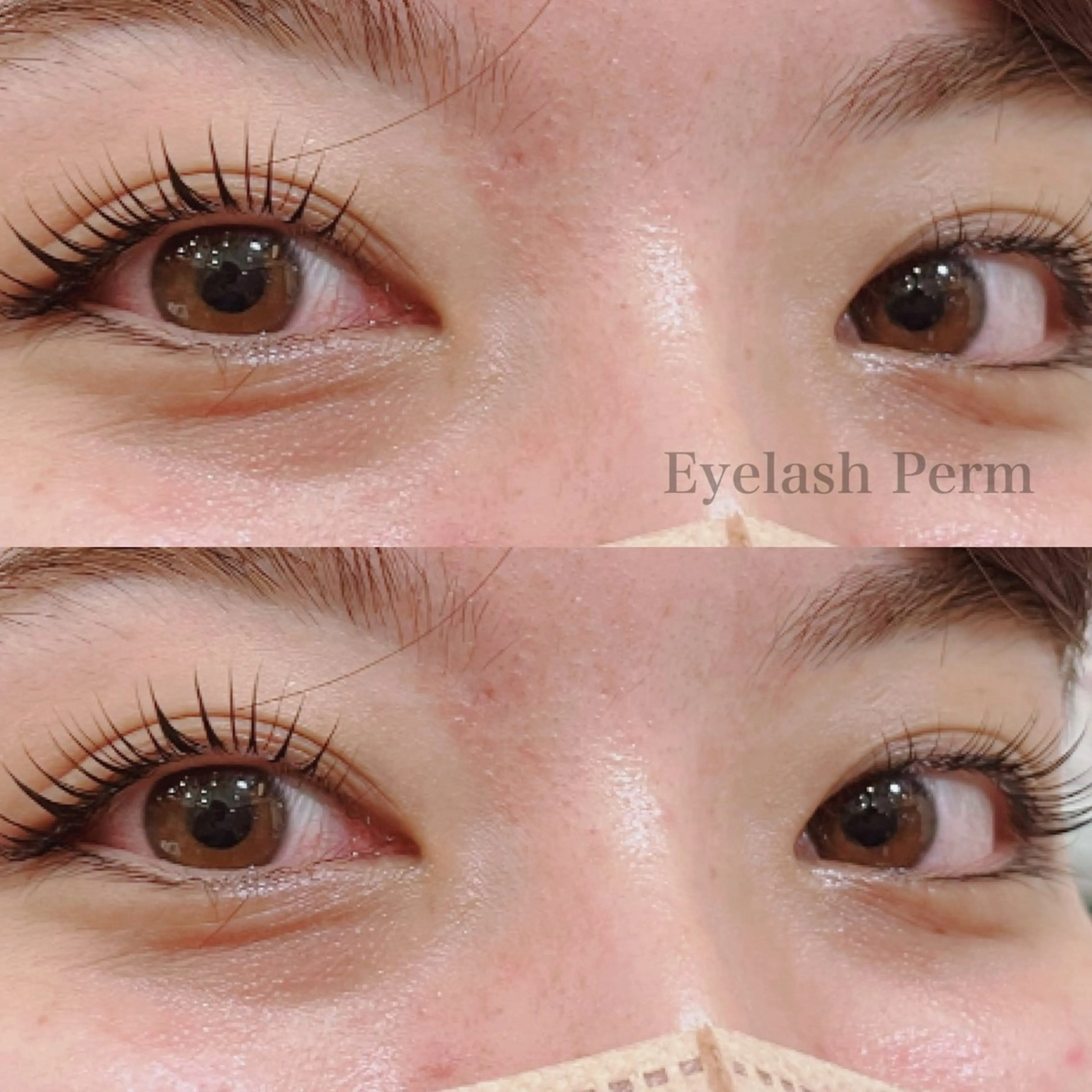 🌷パリジェンヌ風まつげパーマ🌷の写真