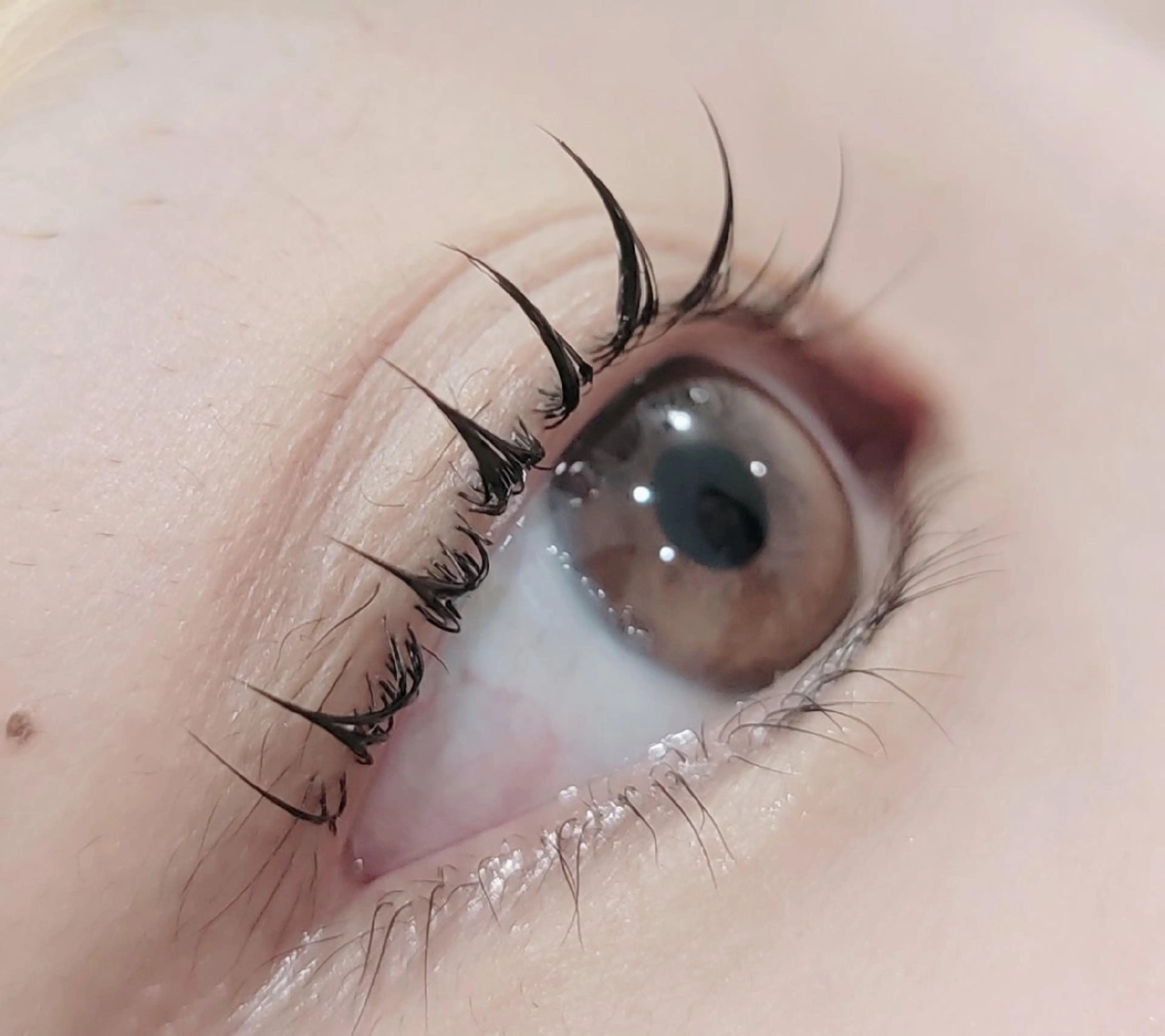 マツエク・マツパ LOKAHI SETOのマツエク・マツパデザイン