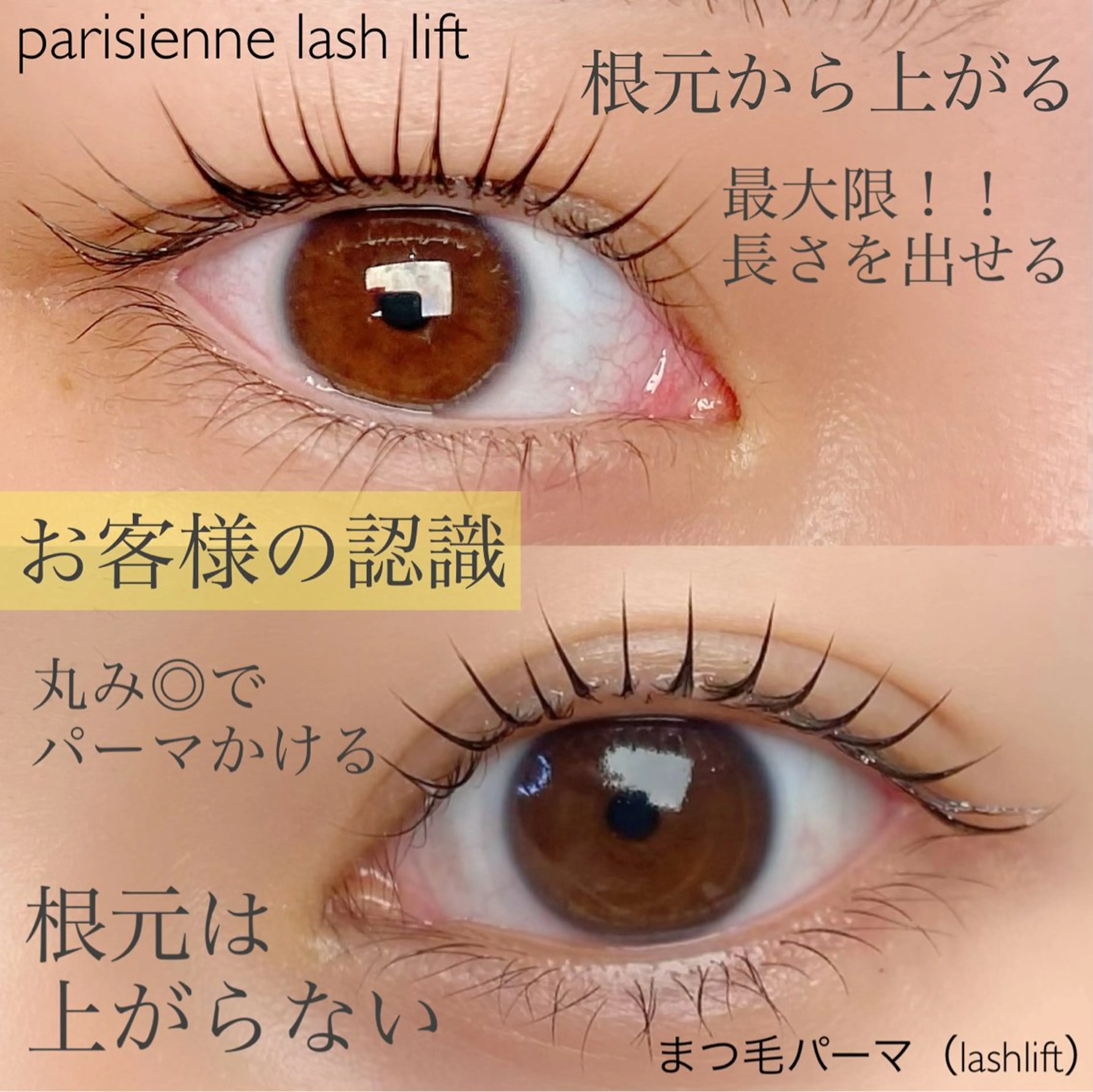 マツエク・マツパ マツパ 束感パリジェンヌ上下 恵比寿ayakaのマツエク・マツパデザイン