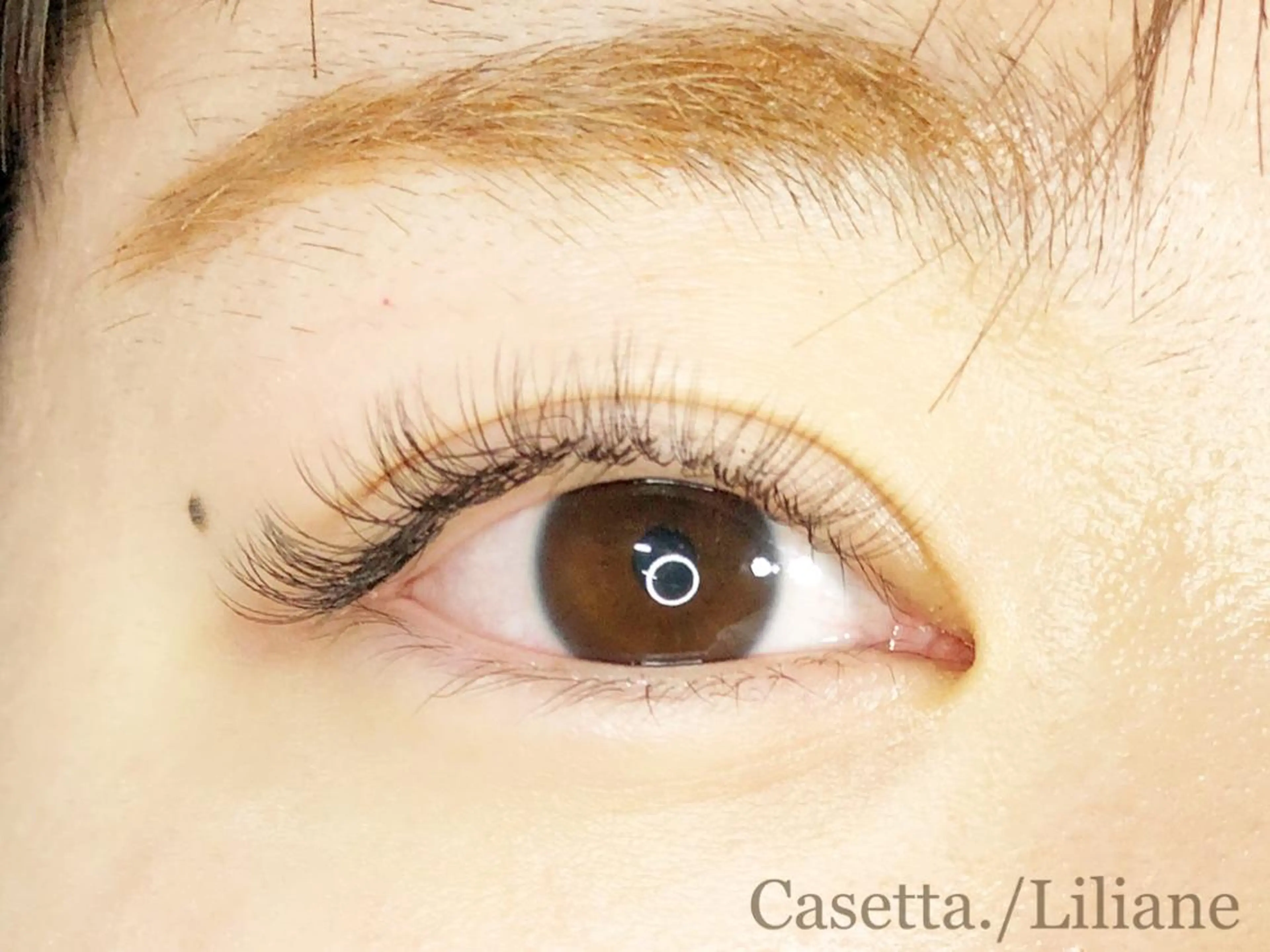 マツエク・マツパ 吉田 Lilianeのマツエク・マツパデザイン