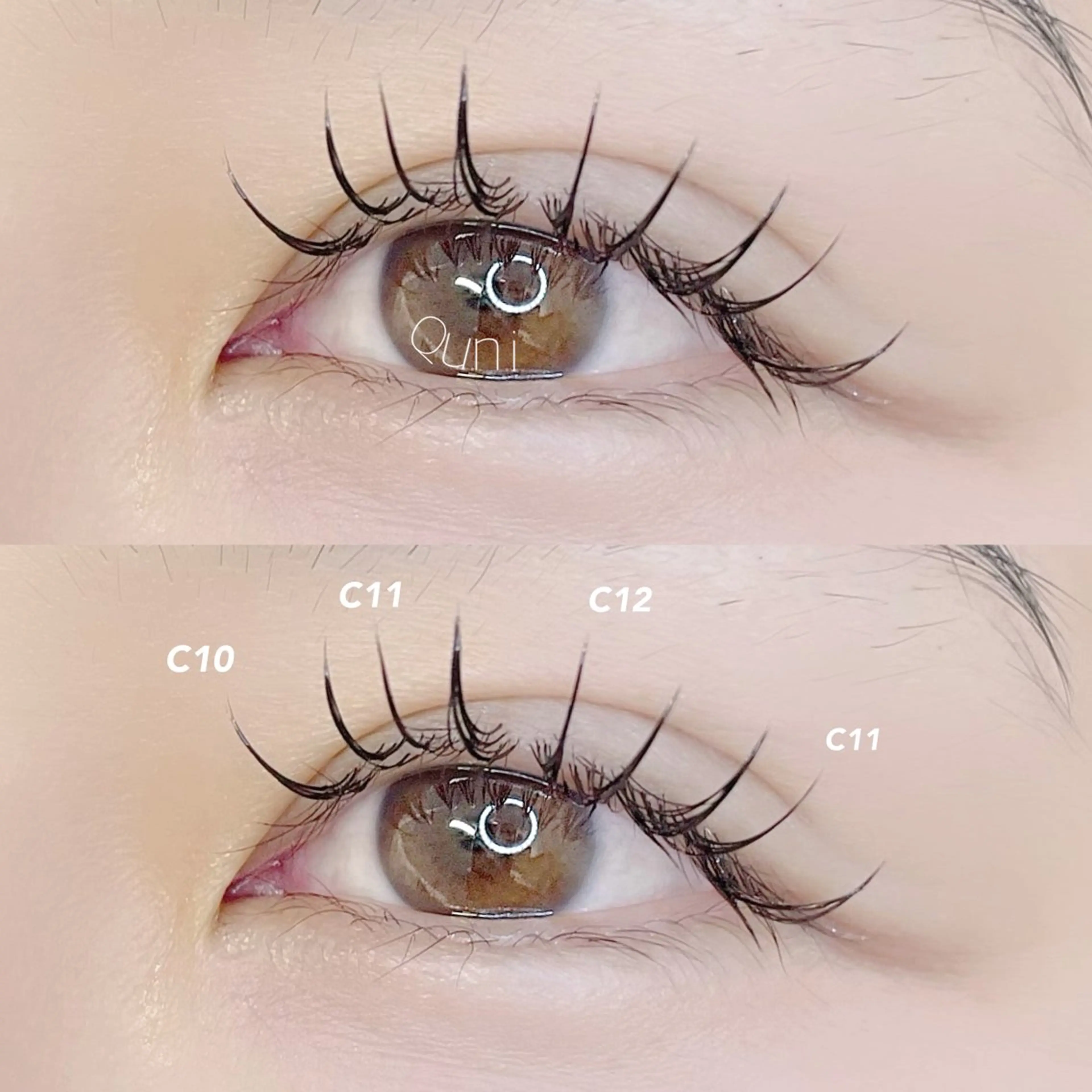 flat lush 80本の写真