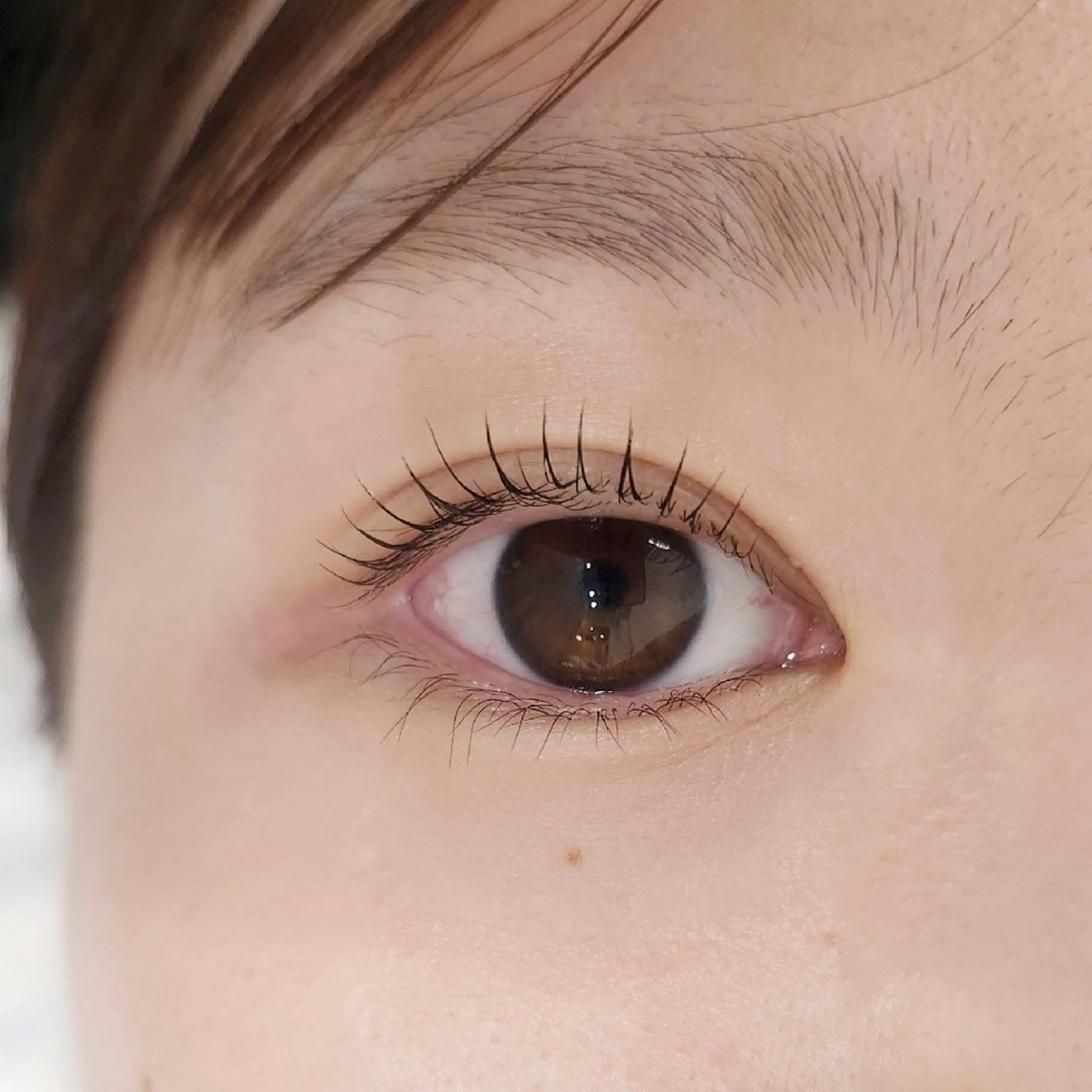 マツエク・マツパ マツパ Beaute YUMIのマツエク・マツパデザイン