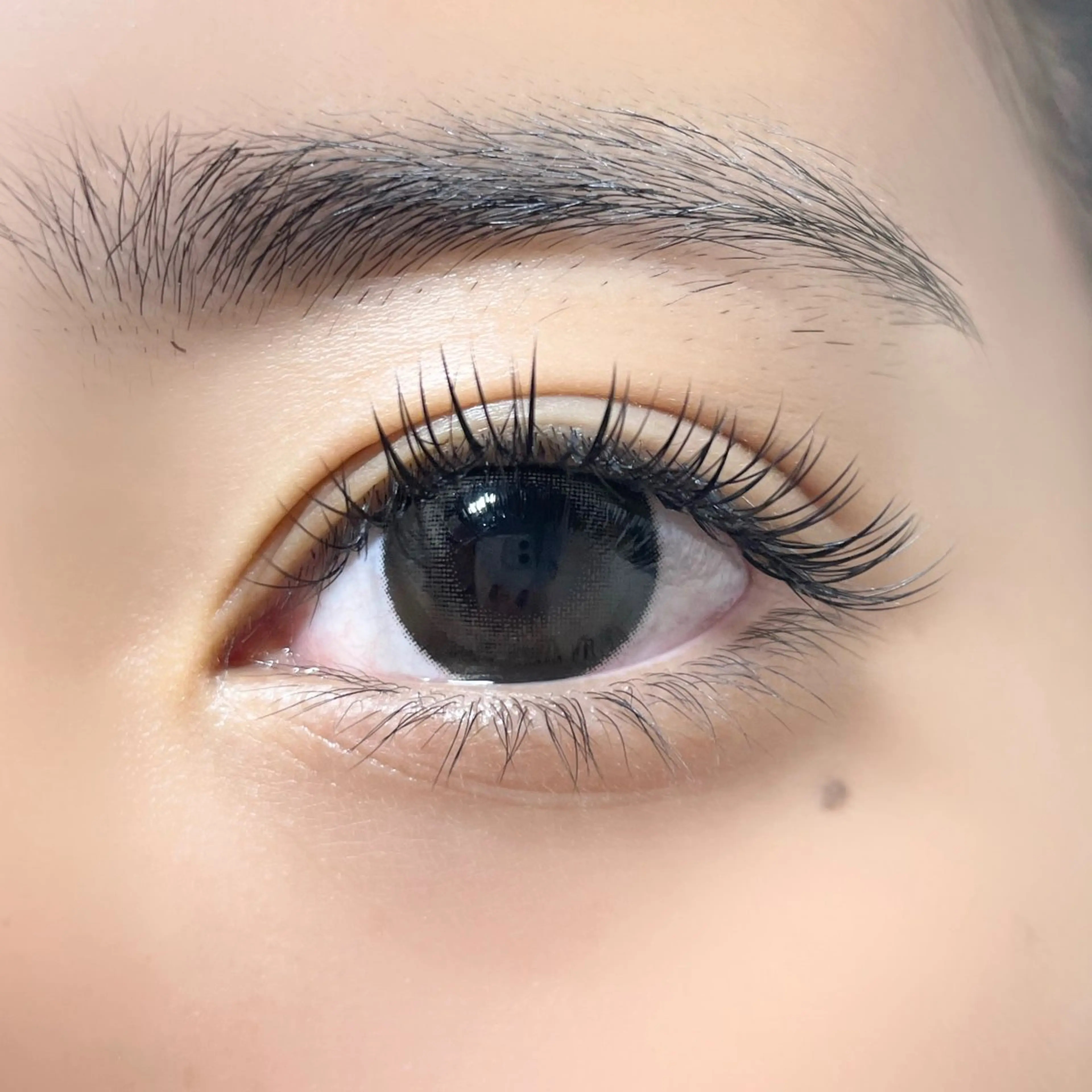 マツエク・マツパ salut ayakaのマツエク・マツパデザイン