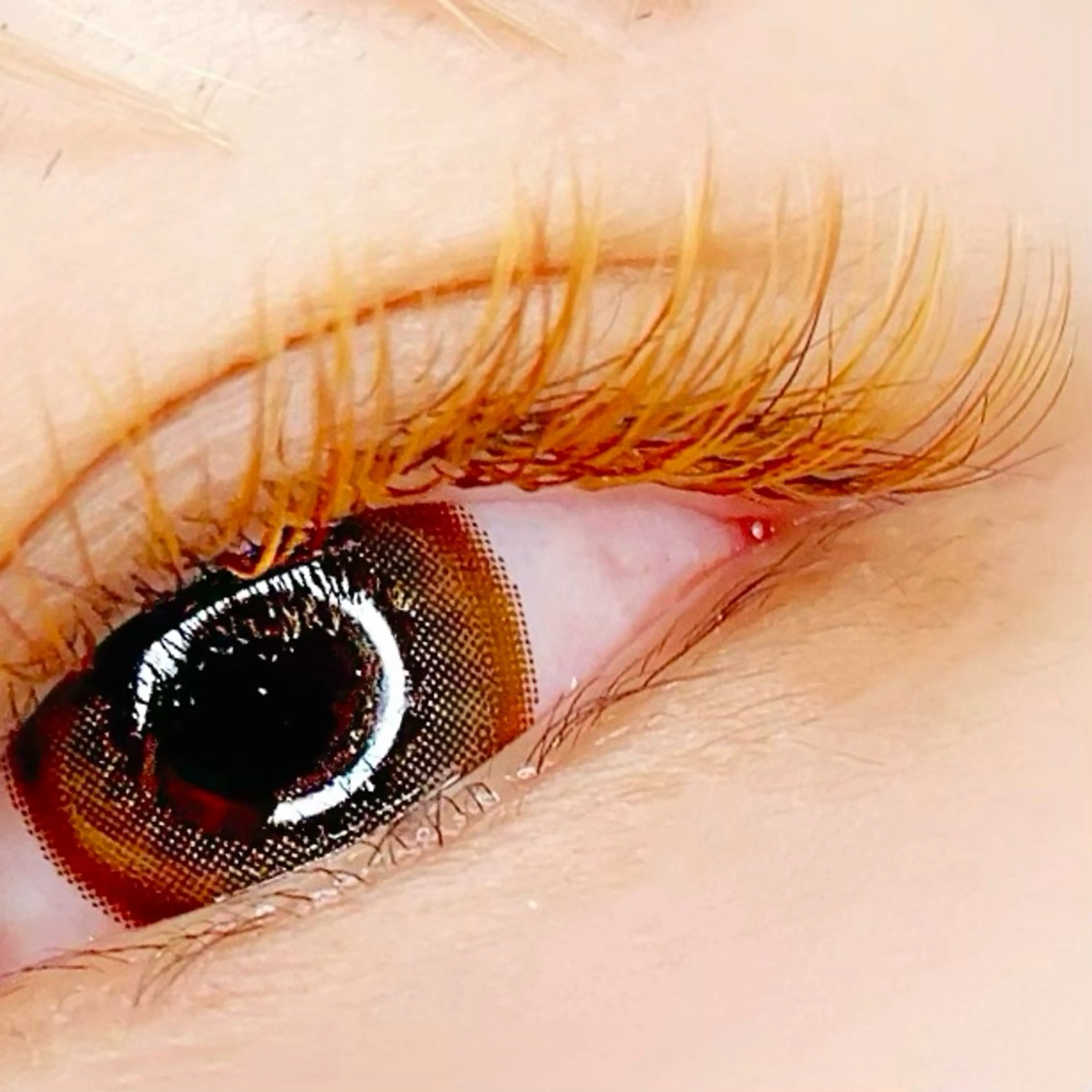 マツエク・マツパ カラーマツエク ciglia 原宿店yunaのマツエク・マツパデザイン