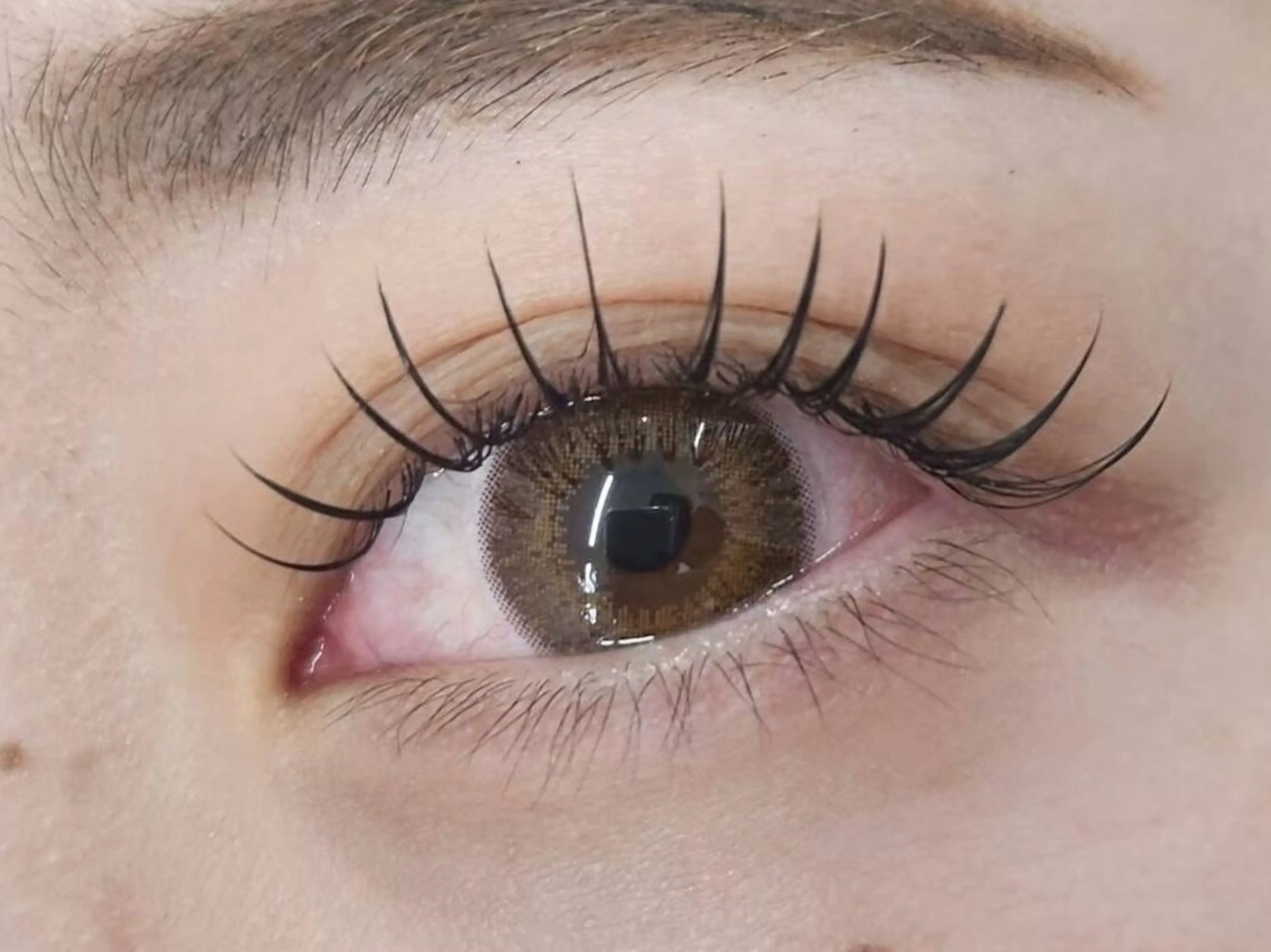 【束感まつ毛】フラットラッシュ100本(コーティング付き)の写真