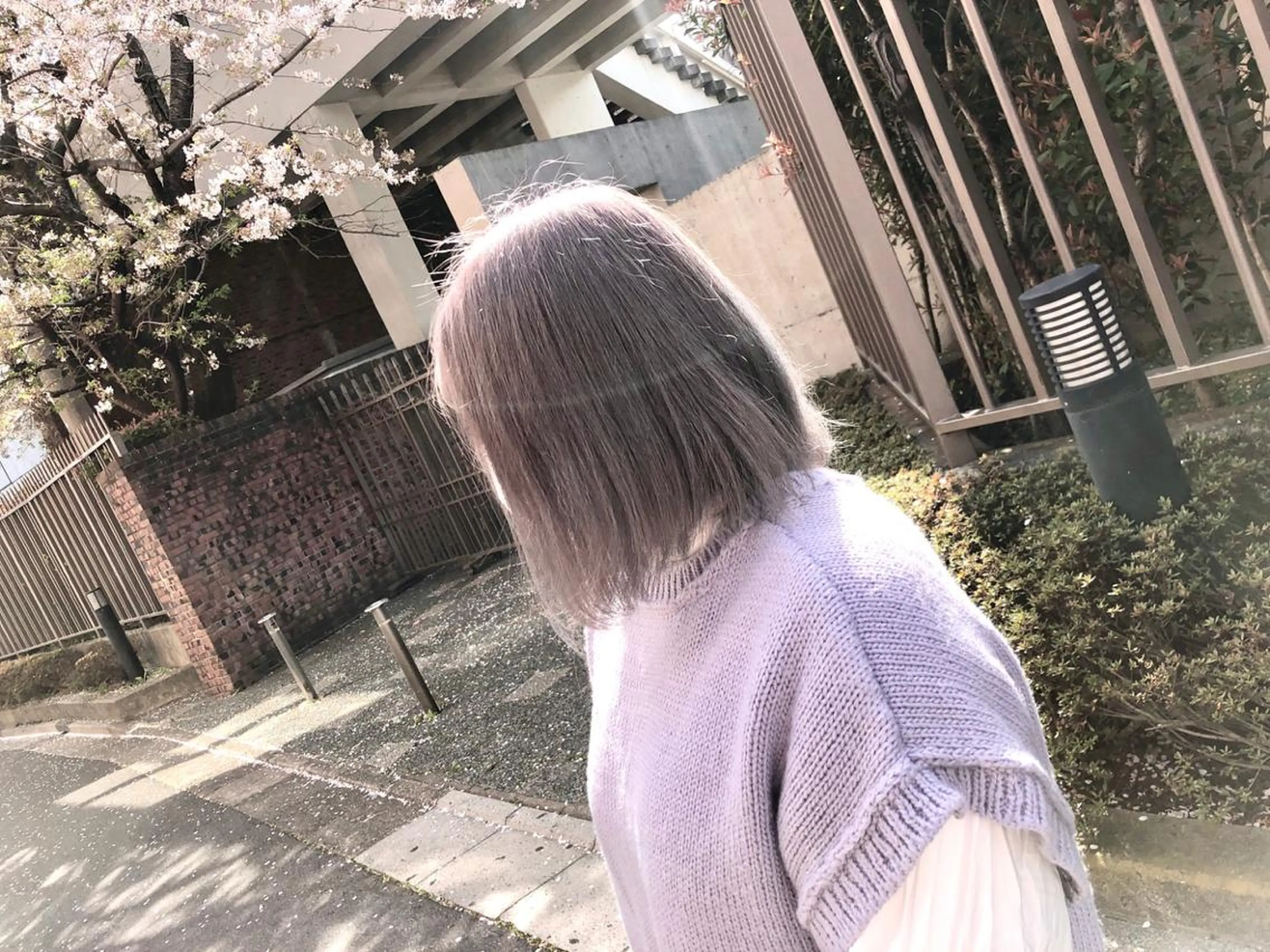 ミディアム カラー シルバー 1日1名様限定 予約可能のヘアスタイル