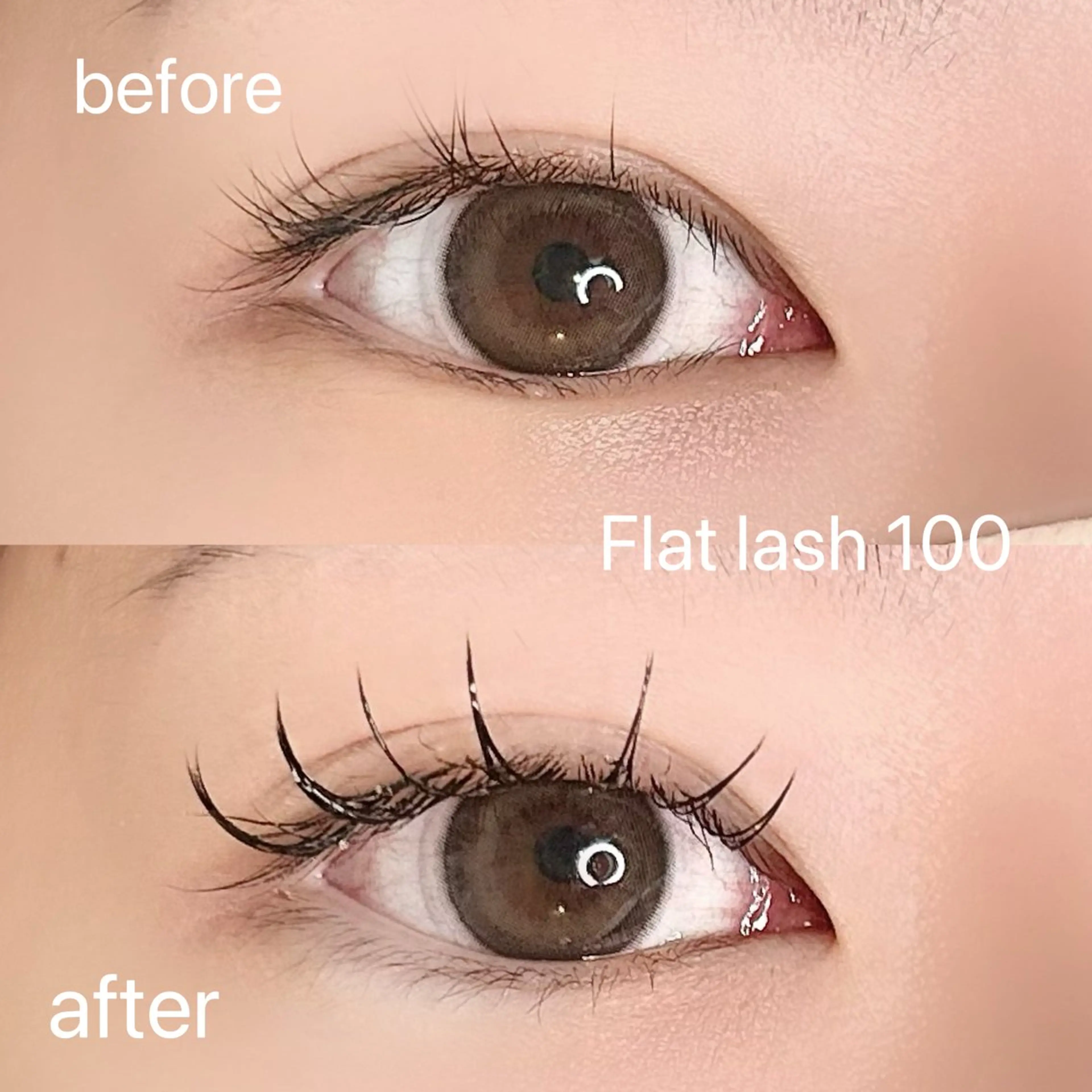 マツエク・マツパ フラットラッシュ マツエク elua eyelashの眉毛・アイブロウイメージ