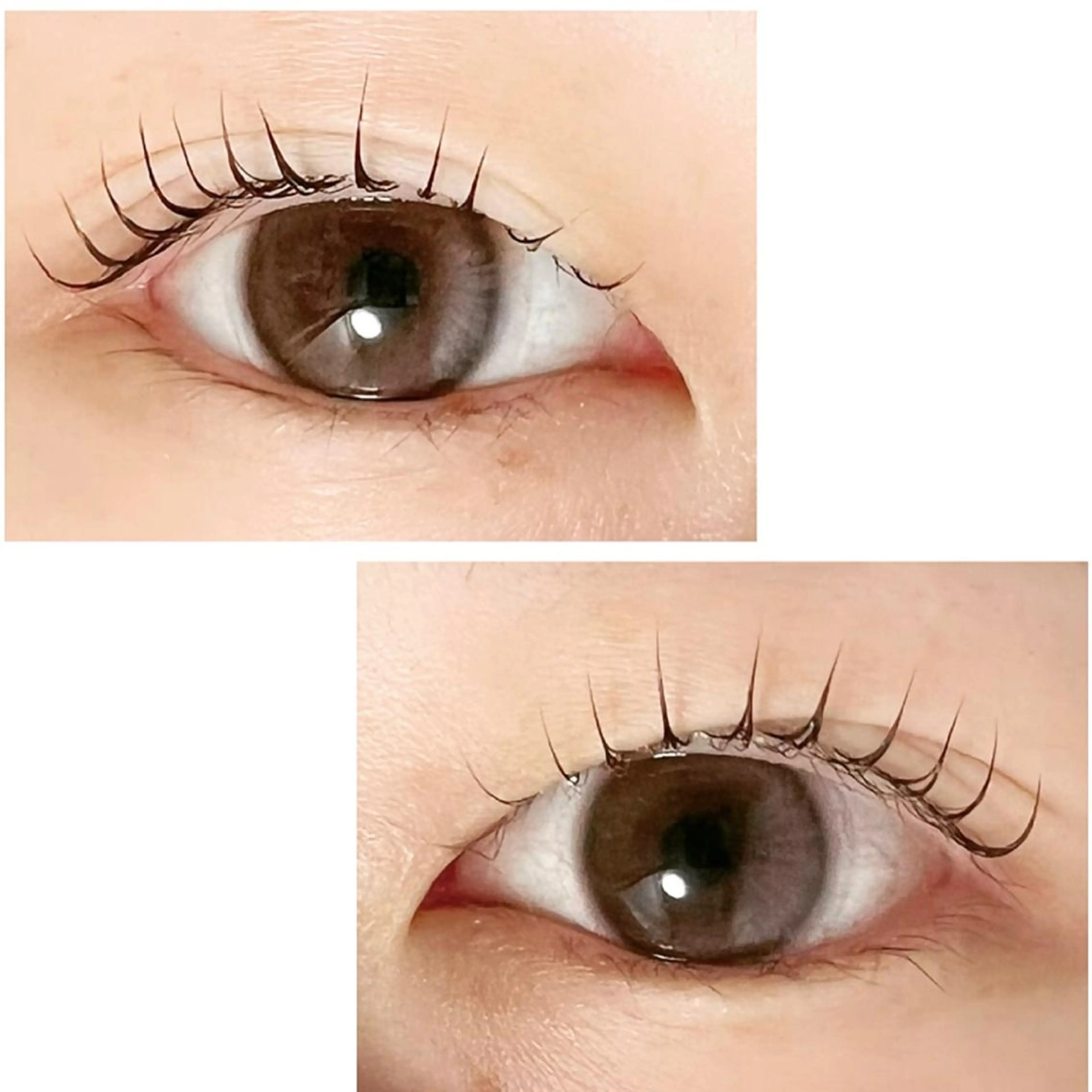 マツエク・マツパ Adorer(アドレ)所属・Adorer 🍀アドレ🍀のマツエク・マツパデザイン