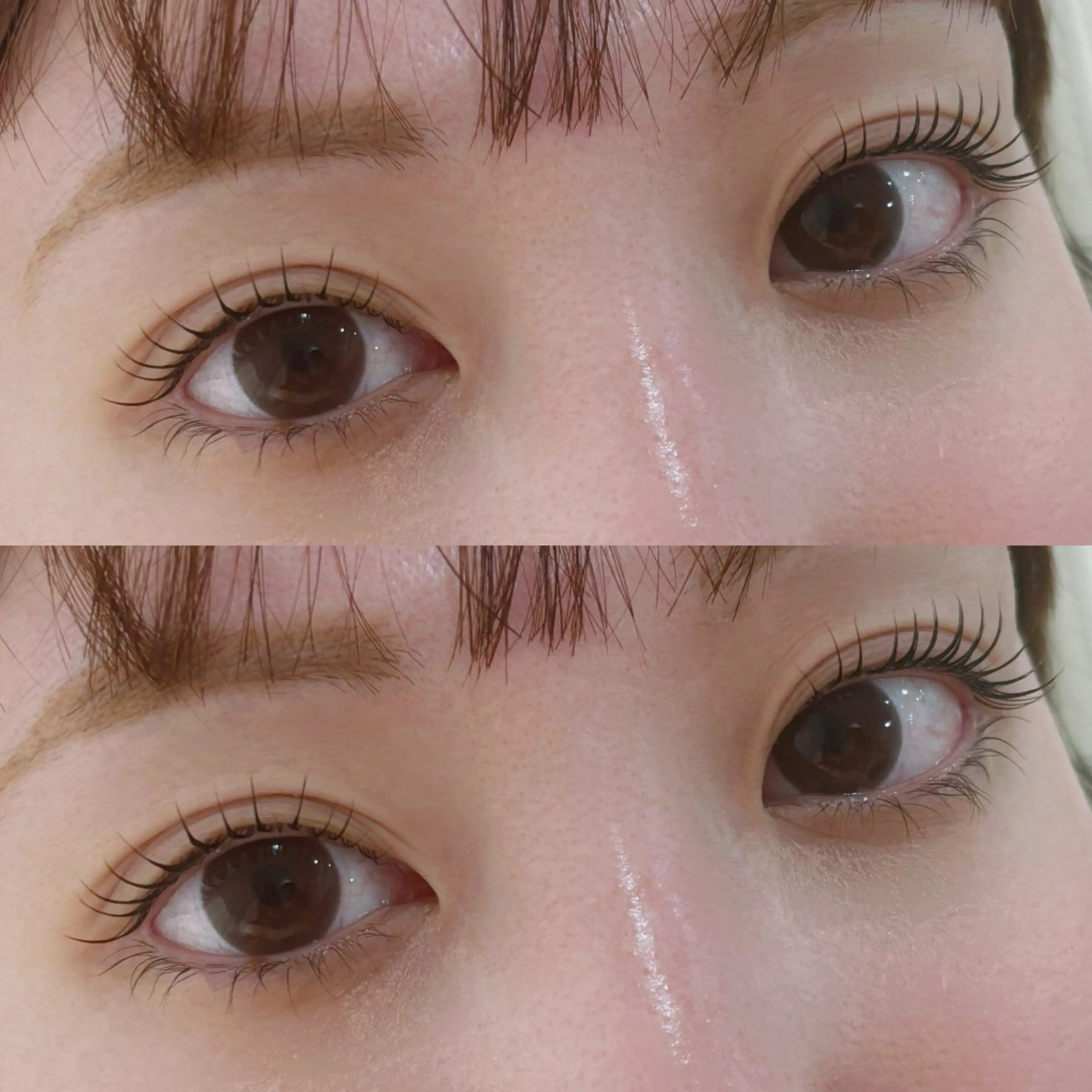 マツエク・マツパ 🦋𝐌𝐀𝐎🦋 表参道/韓国風まつげのマツエク・マツパデザイン
