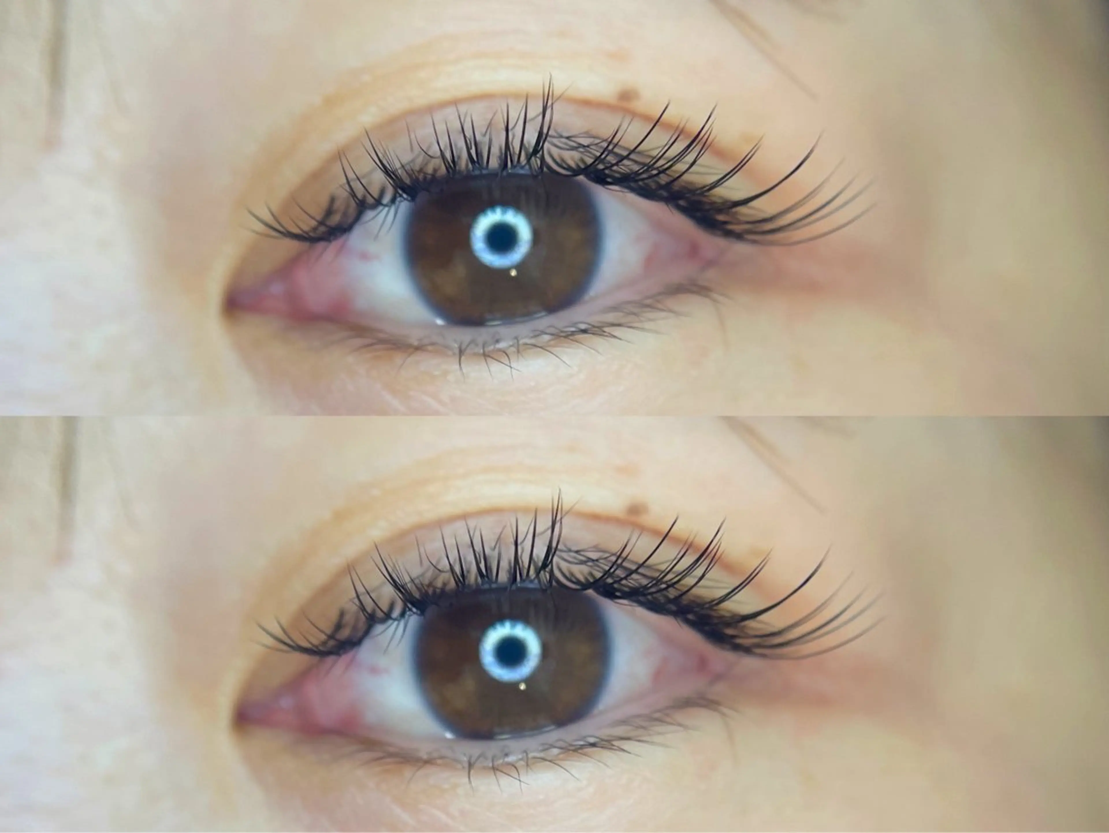 【バインドロック】90分付け放題✨️の写真