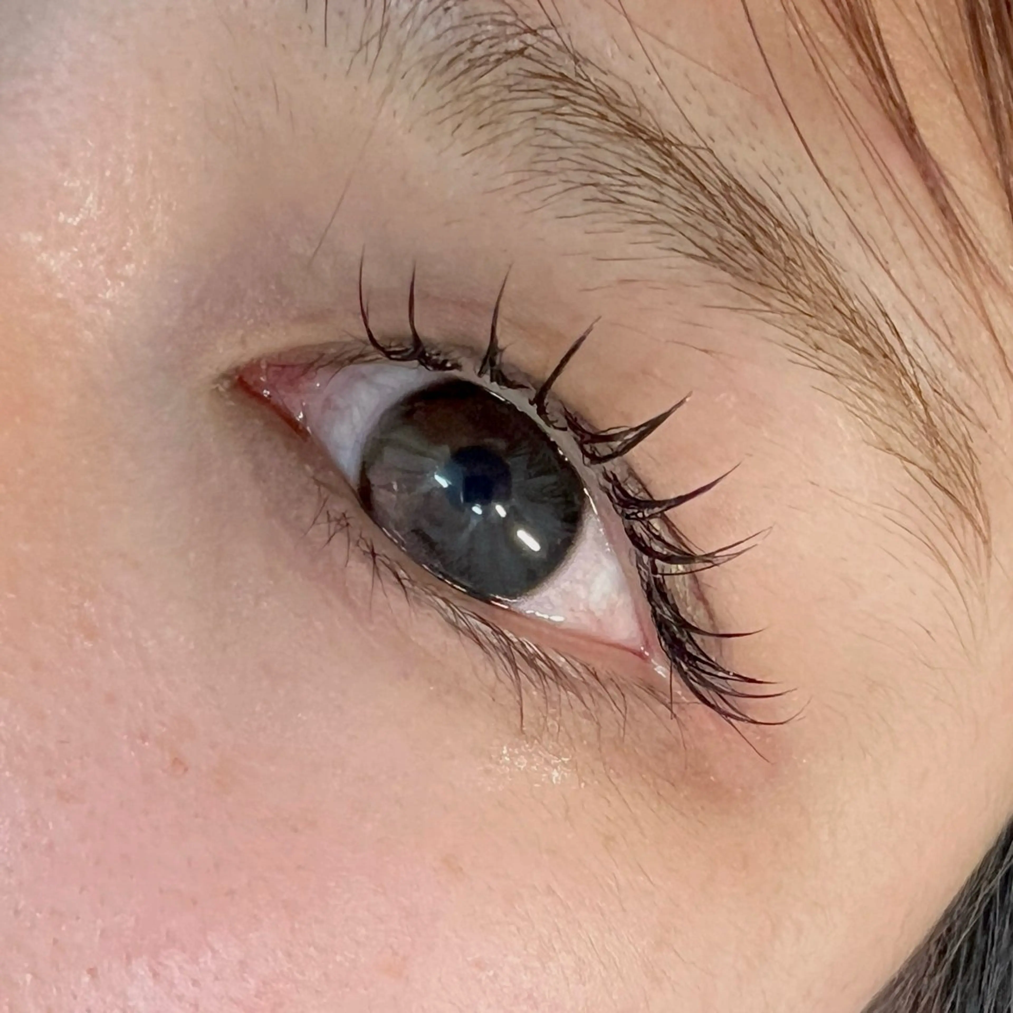 マツエク・マツパ フラットラッシュ ナチュラル Maria 🫧のマツエク・マツパデザイン