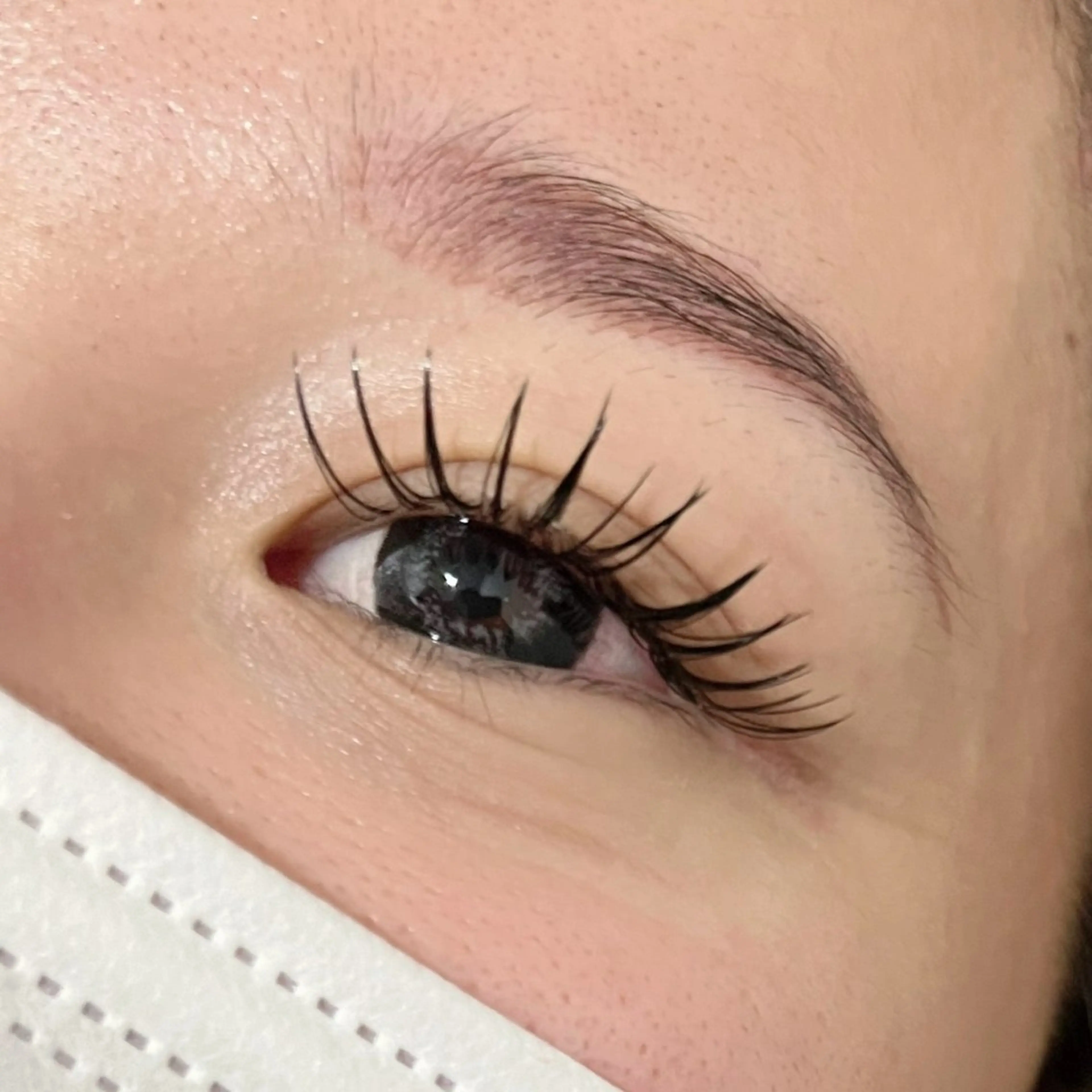 フラットラッシュ100本の写真