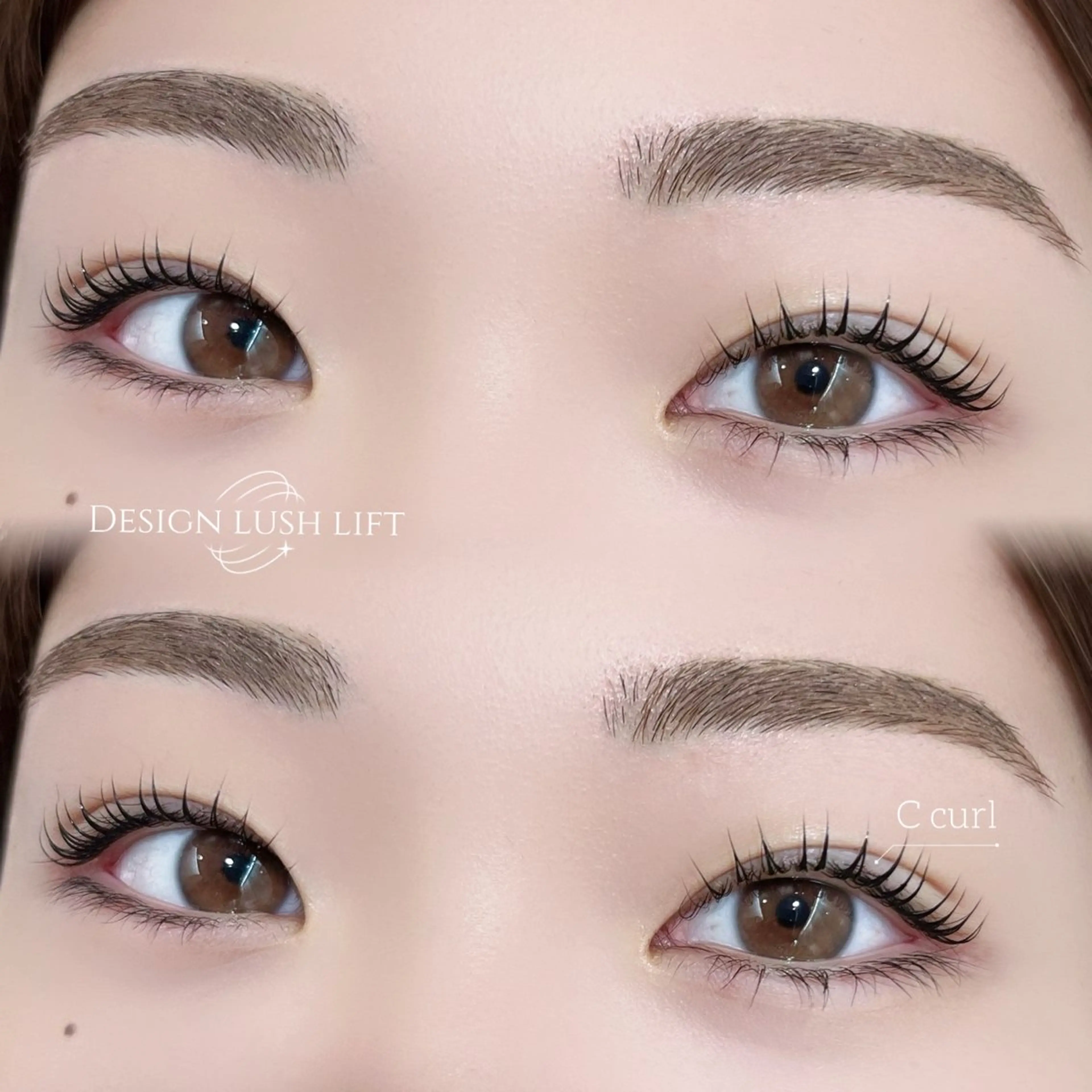 4/13限定♡《set menu》パリジェンヌ/デザインラッシュリフト+似合わせ眉ワックス🩶の写真