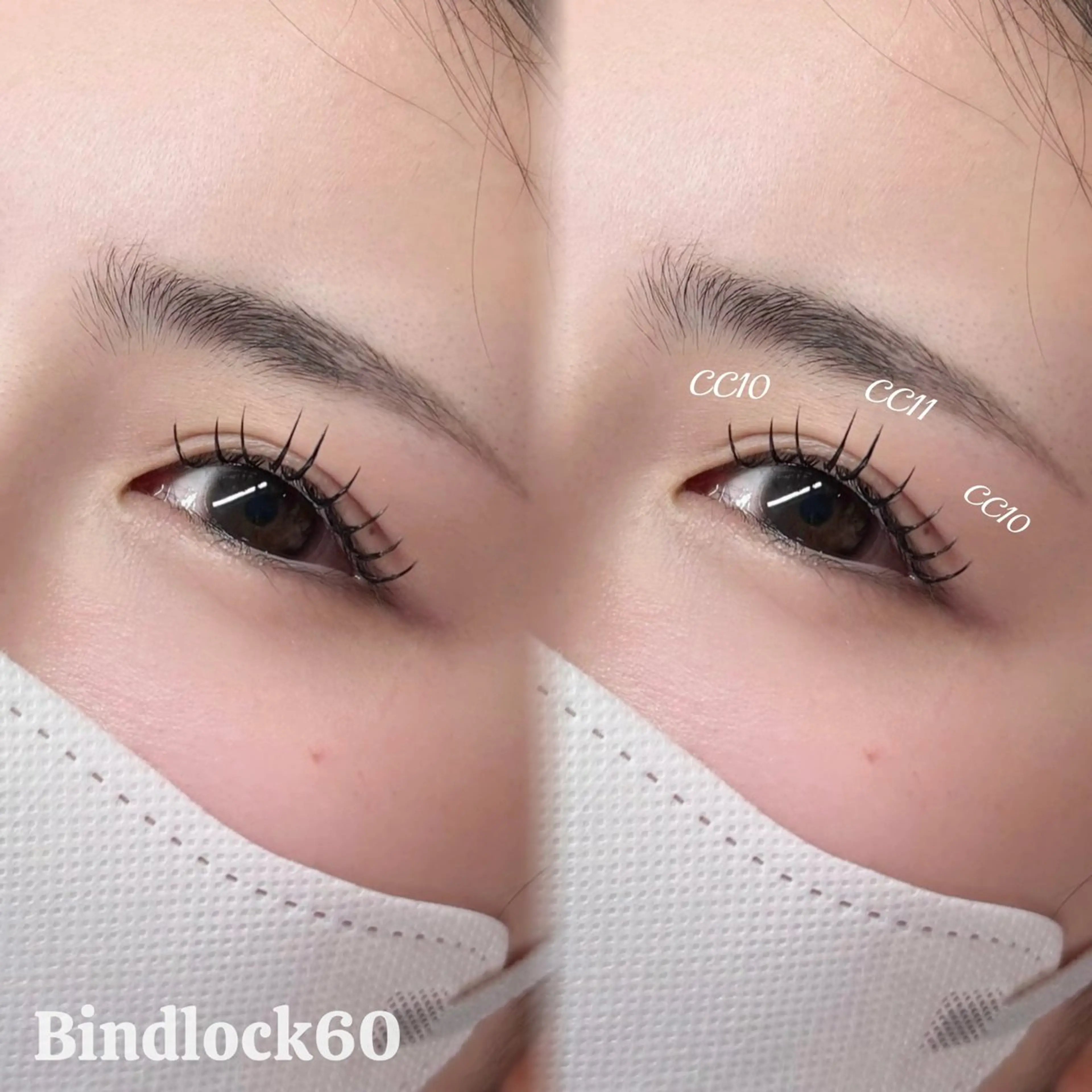 バインドロック60束の写真