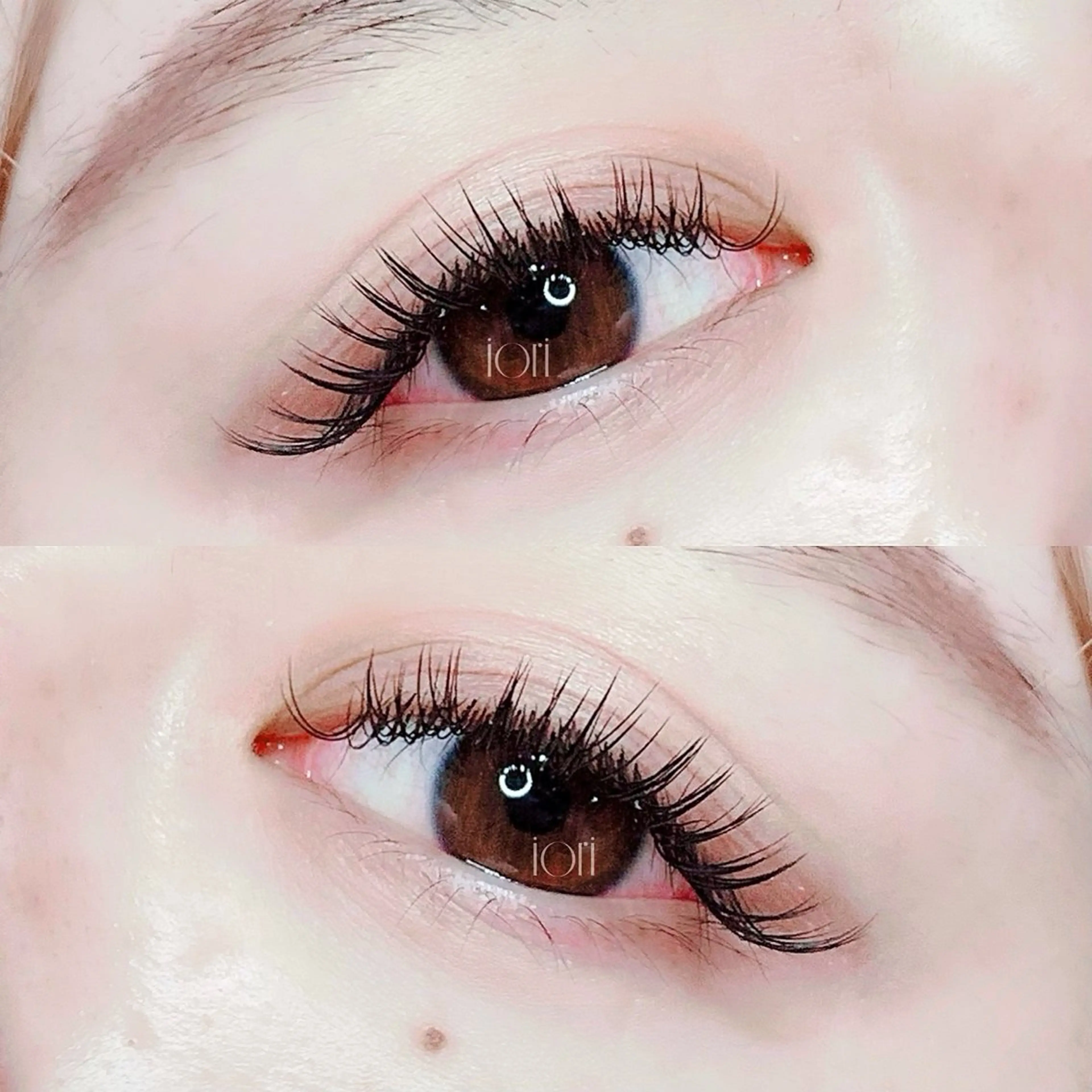 🍑LEDフラットラッシュ140本🍑8,500円→5,500円❤️束仕上げ※SNS掲載用の写真撮影必須📷の写真