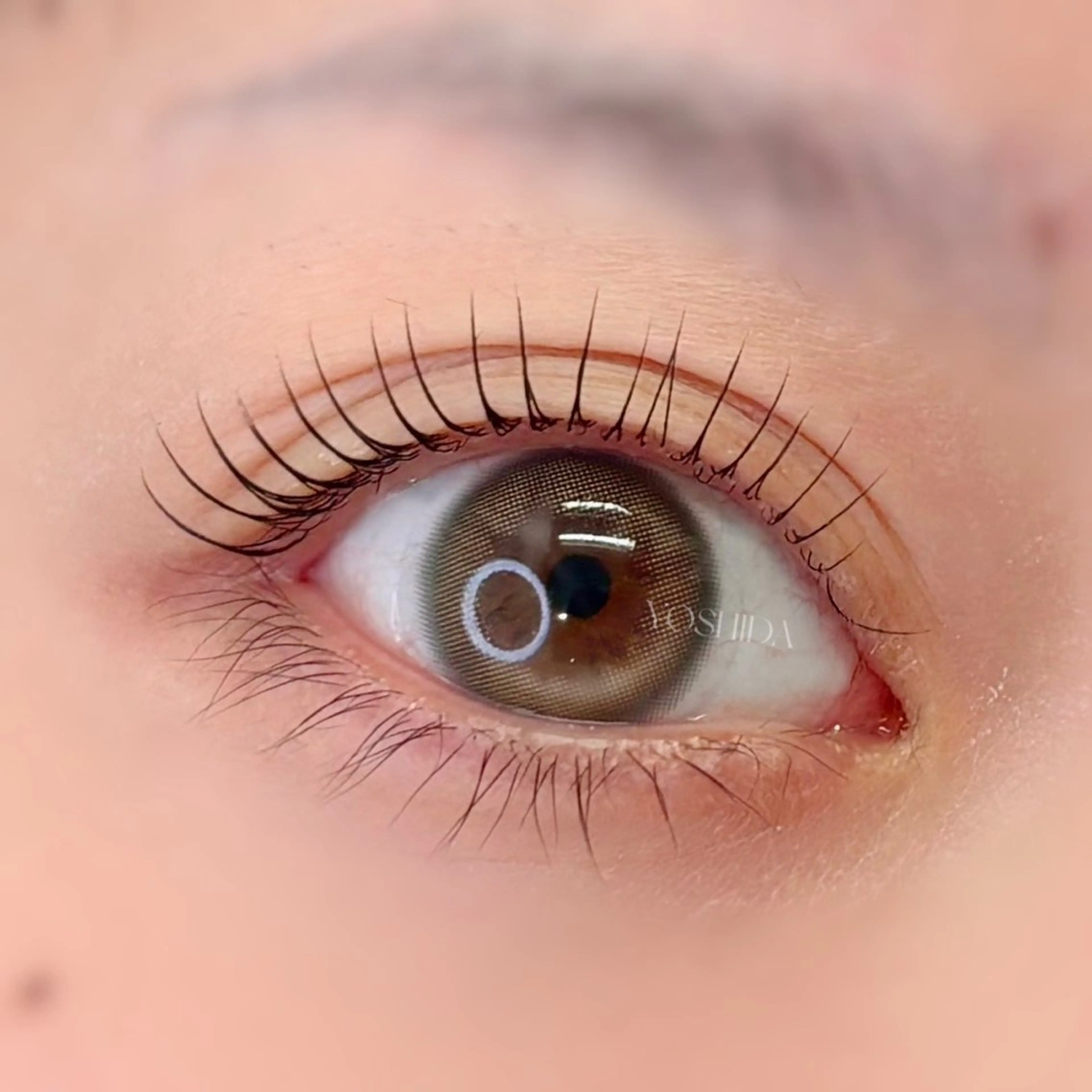 マツエク・マツパ マツパ 【一重┊︎奥二重】 YOSHIDA🌙のマツエク・マツパデザイン