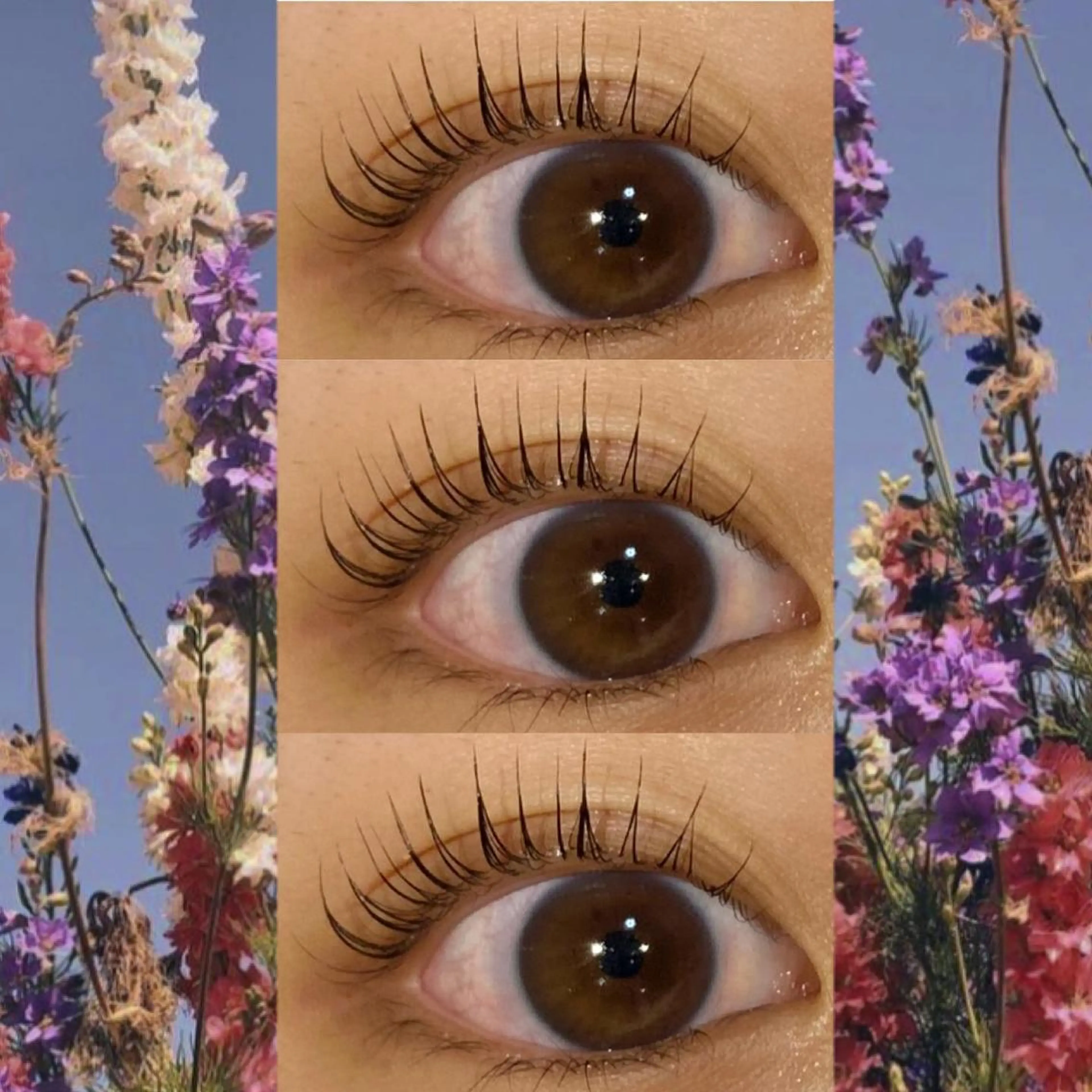 マツエク・マツパ ブラウンラッシュ カラーマツエク フラットラッシュ 韓国風マツエク まつげパーマ orihara𐙚 まつげパーマ/眉毛のマツエク・マツパデザイン