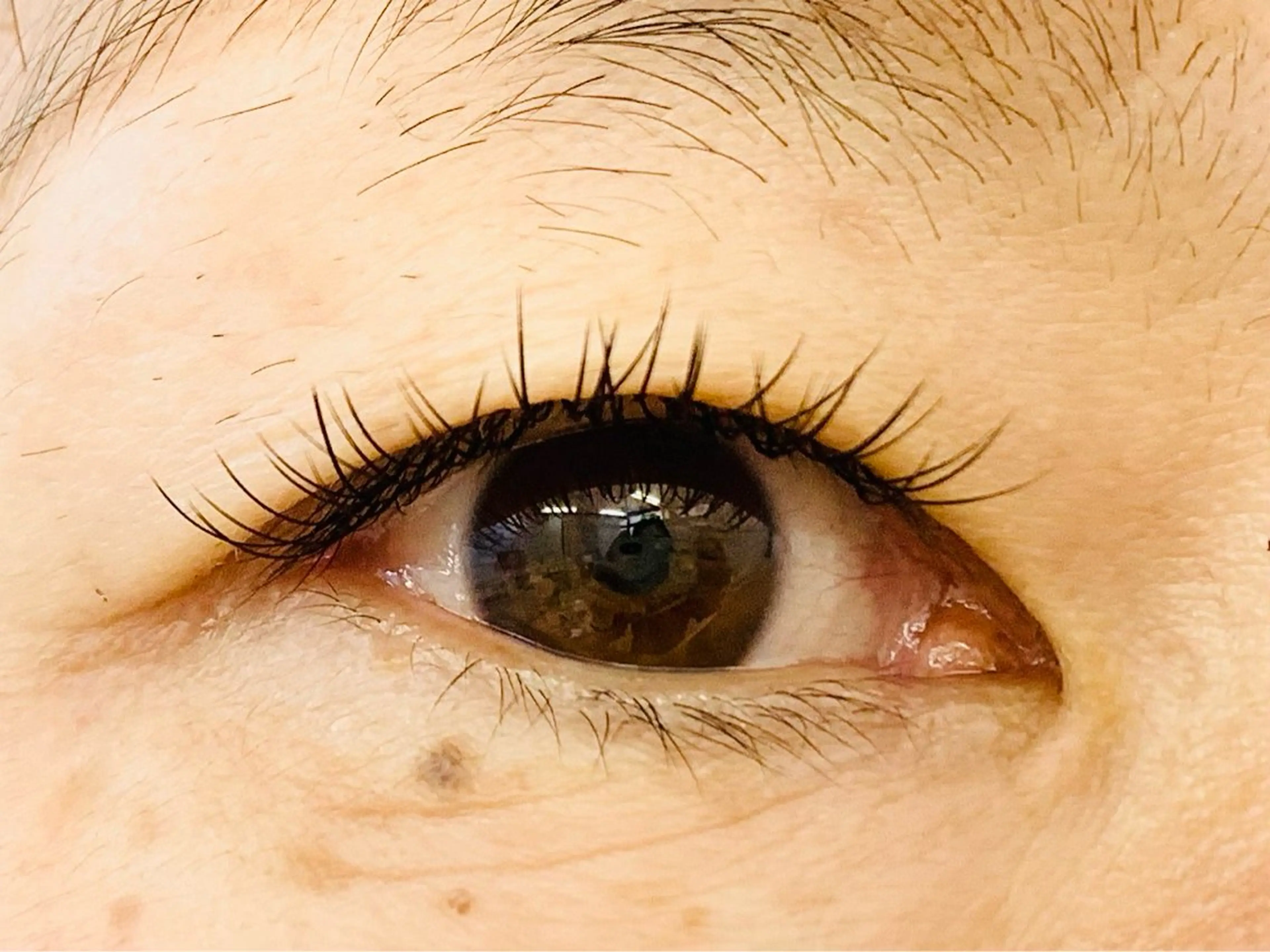 マツエク・マツパ フラットラッシュ Rich to 松崎　麻衣子のマツエク・マツパデザイン