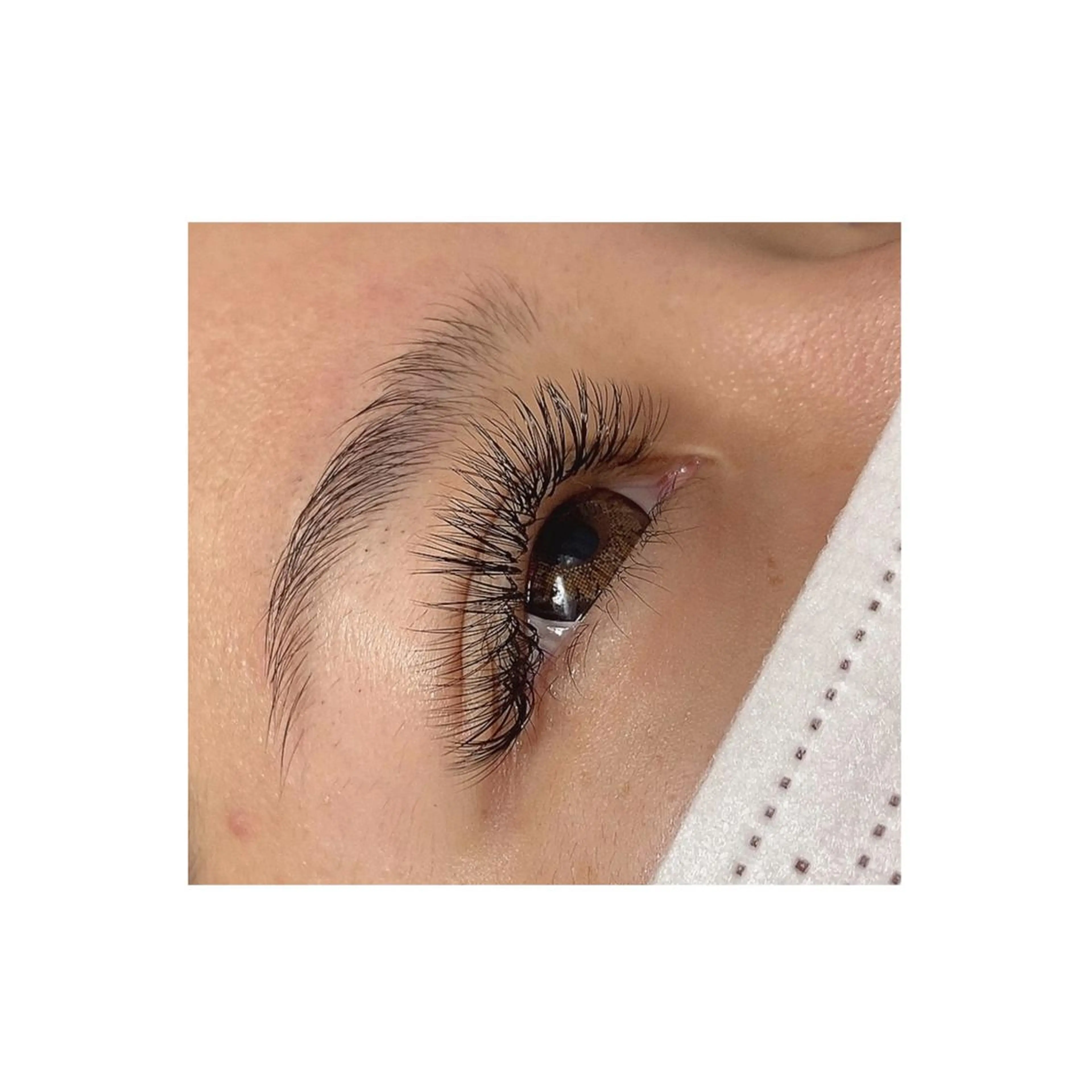 マツエク・マツパ マツエク eyelash Anmut Lunaのマツエク・マツパデザイン