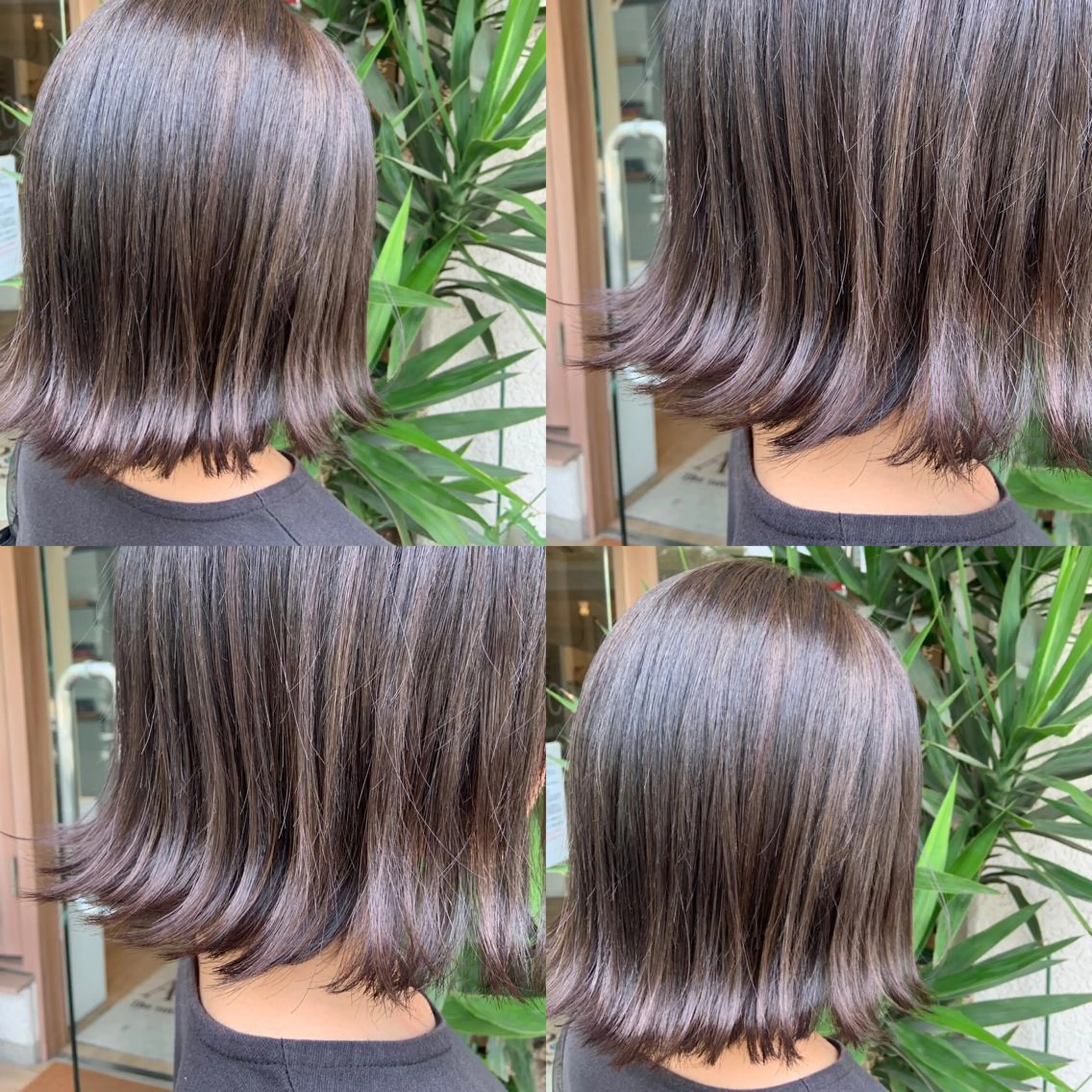 ショート カラー 🤍透明感/韓国風 🤍サクラギヒトミのヘアスタイル