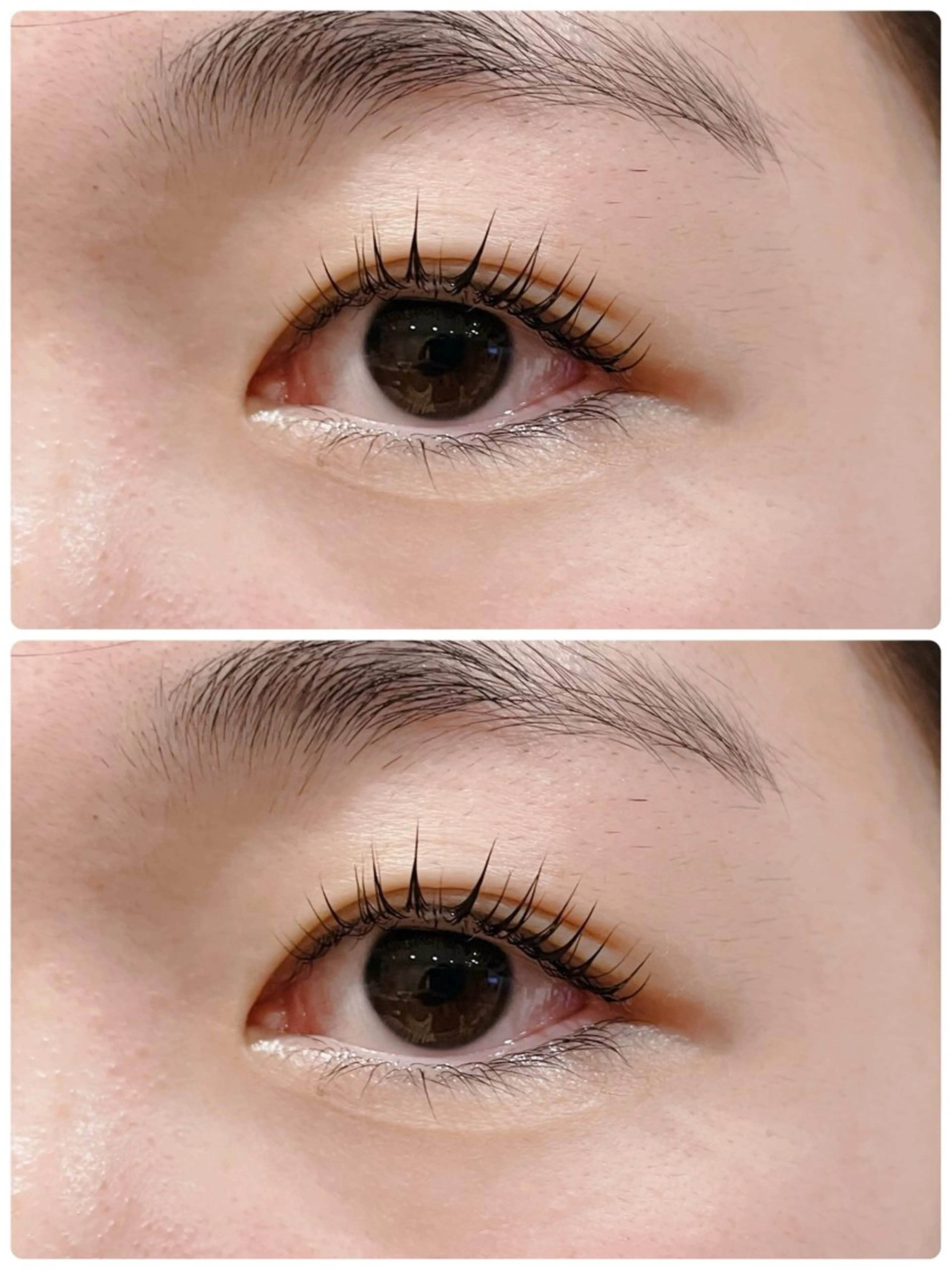 マツエク・マツパ 一重×まつ毛パーマ Rich Nailのマツエク・マツパデザイン