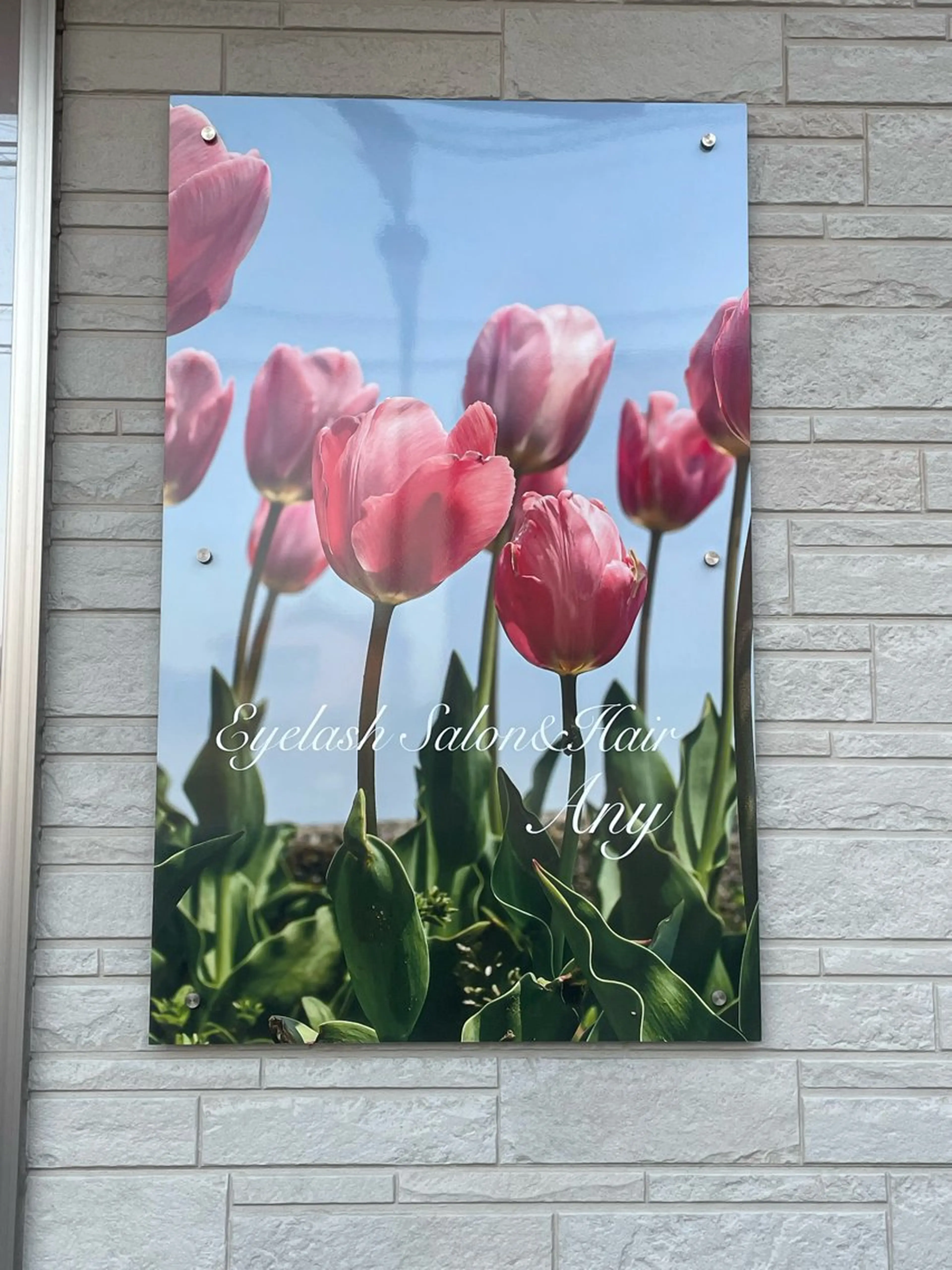 Any eyelash＆hair所属・Any eyelashのマツエク・マツパデザイン