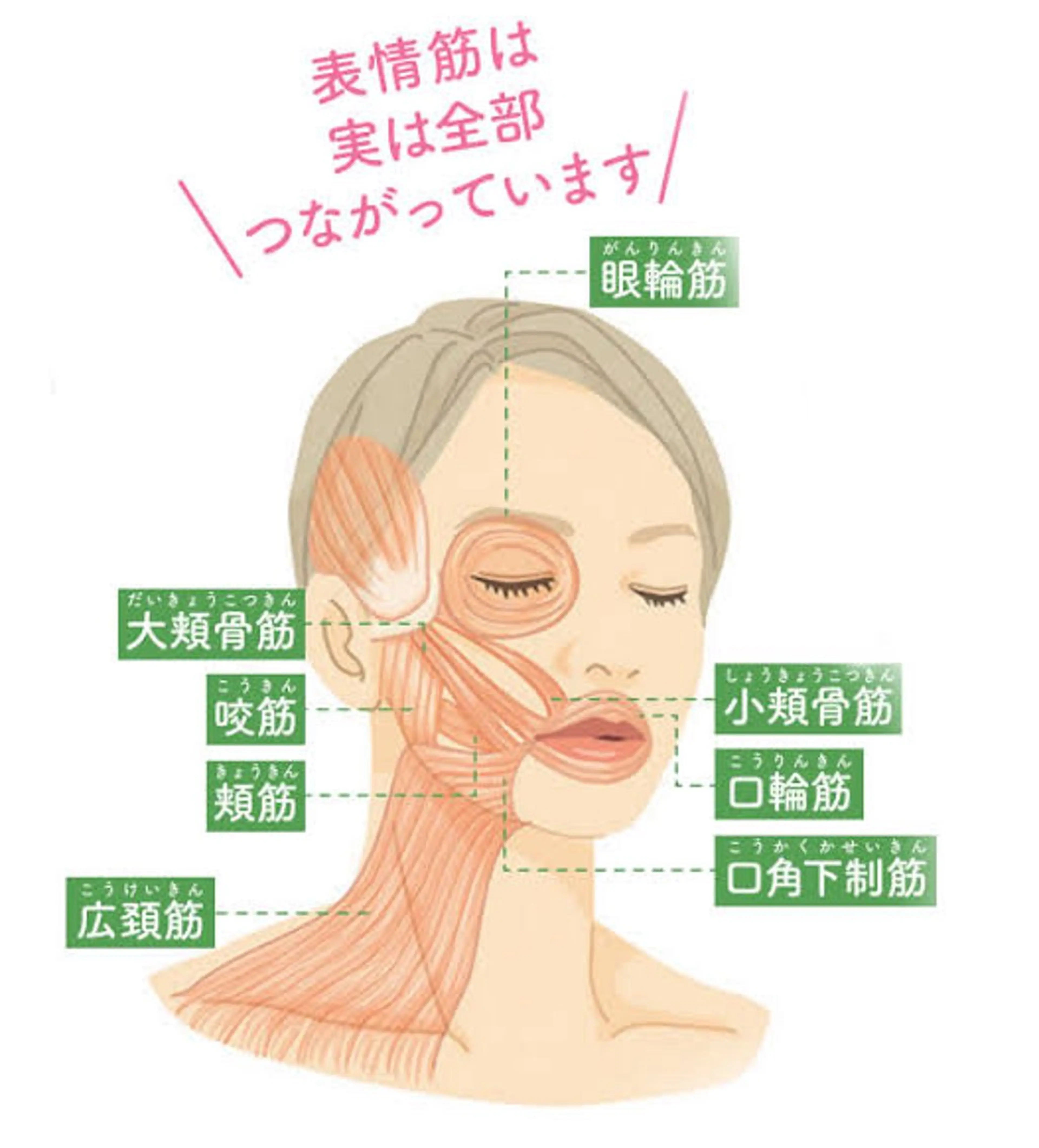 エステ リラク 小顔＆美肌 サロンLINKAのエステ・リラクイメージ