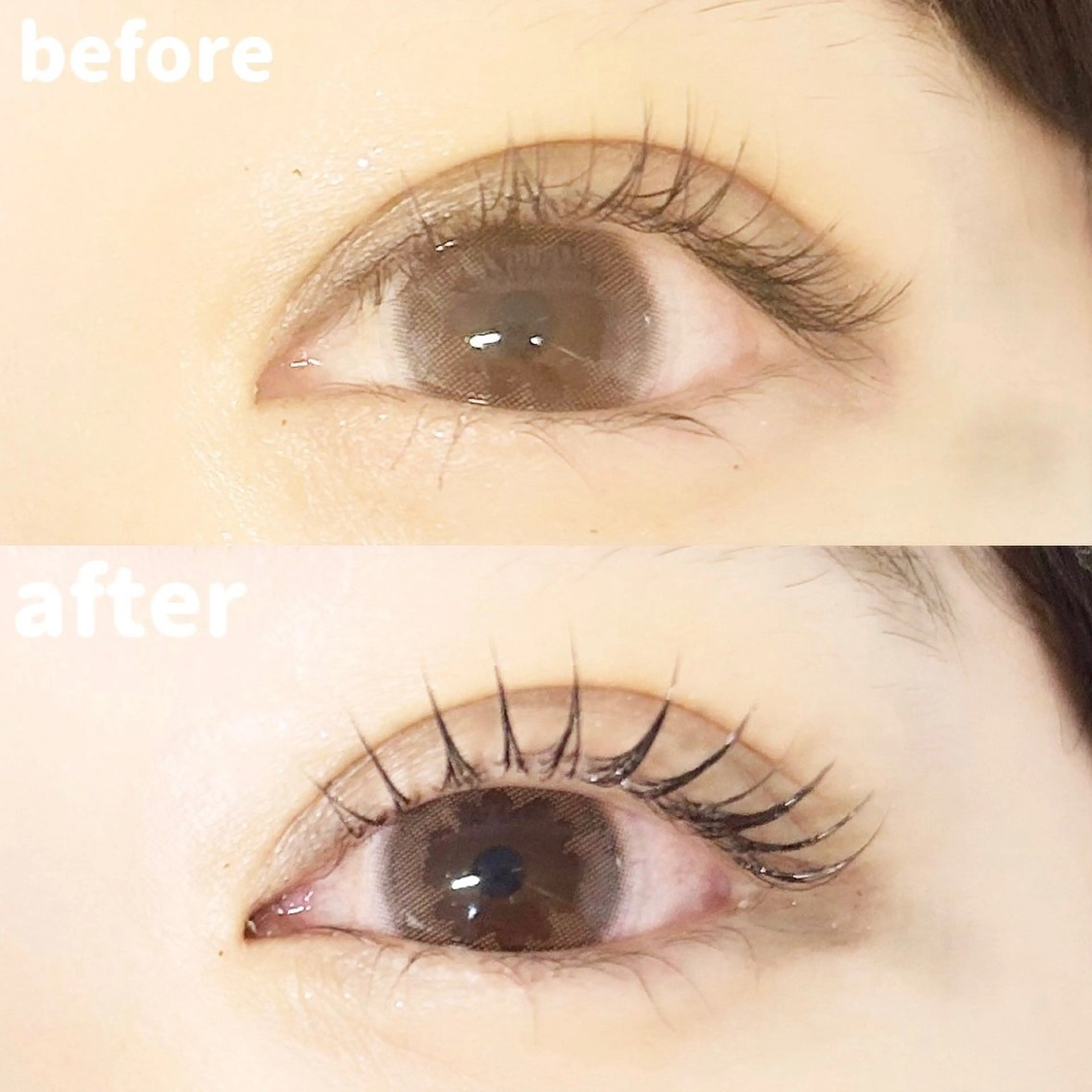 まつ毛パーマ/パリジェンヌラッシュリフト〈トリートメント＆コーティング付〉の写真