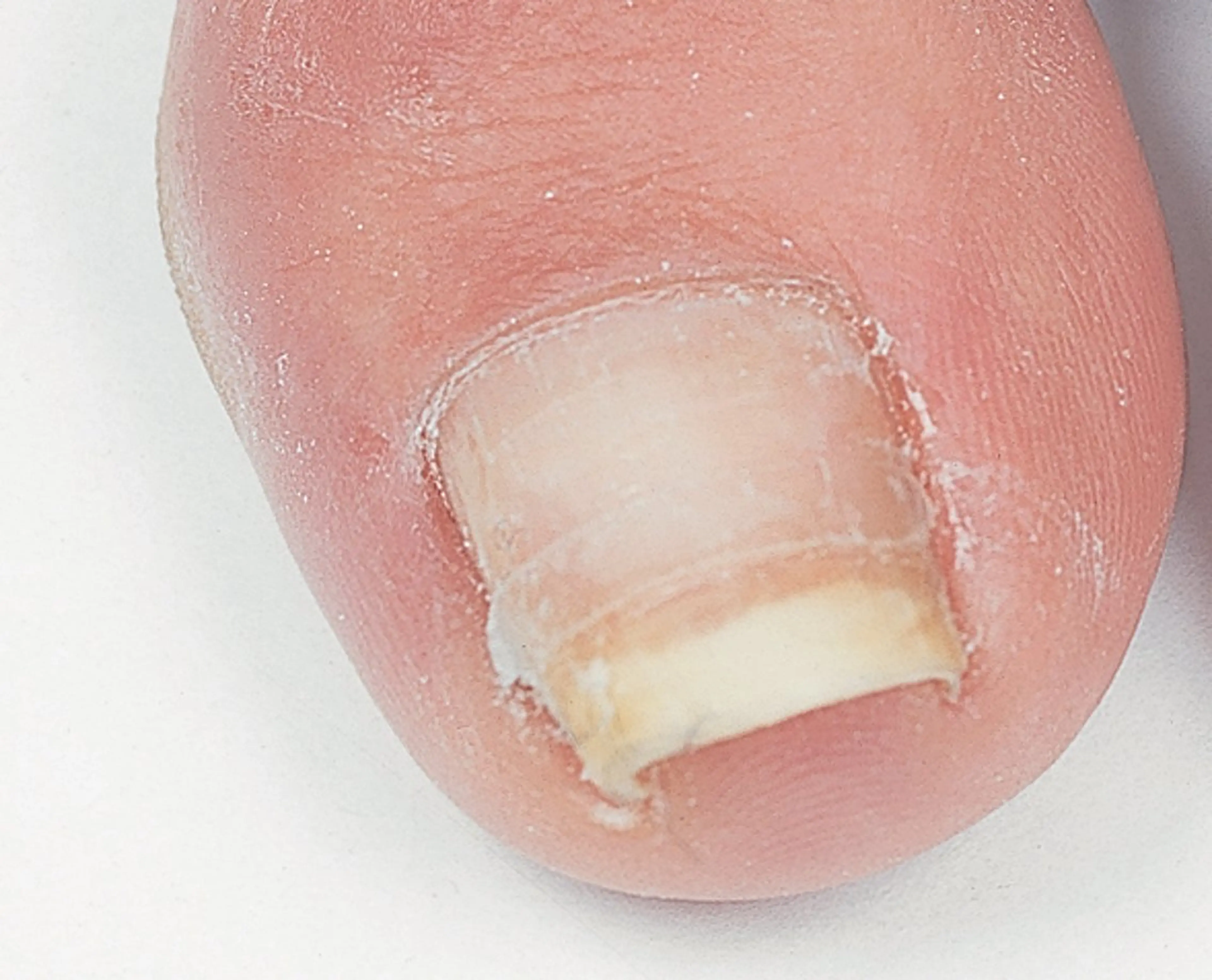 ネイル RiCHE【リッシュ】所属・RiCHE  吉祥寺 asamiのネイルデザイン