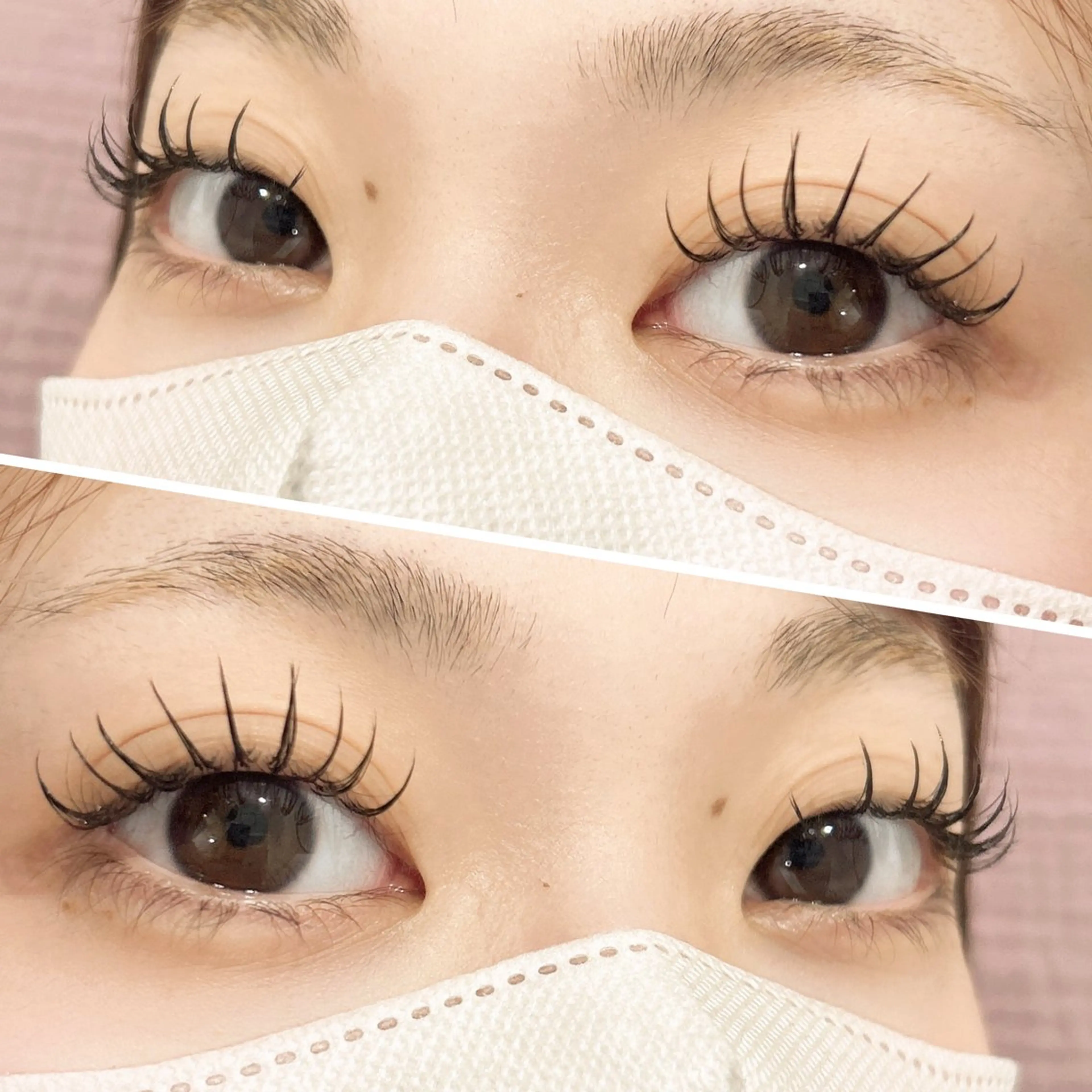 🌷LEDフラットラッシュ120本の写真