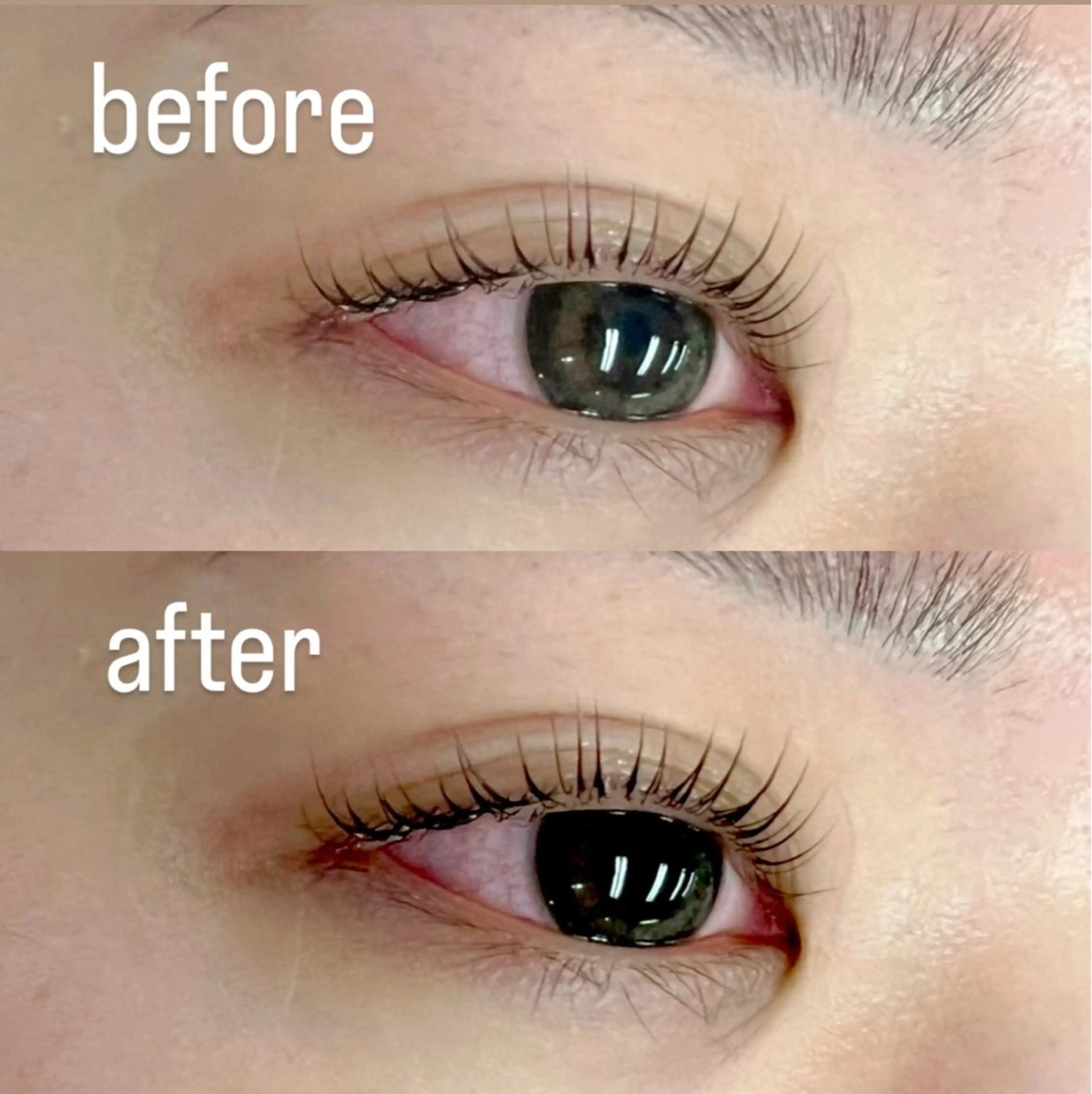 【韓国で大人気🩷】パーマ+ブラックティント🖤の写真