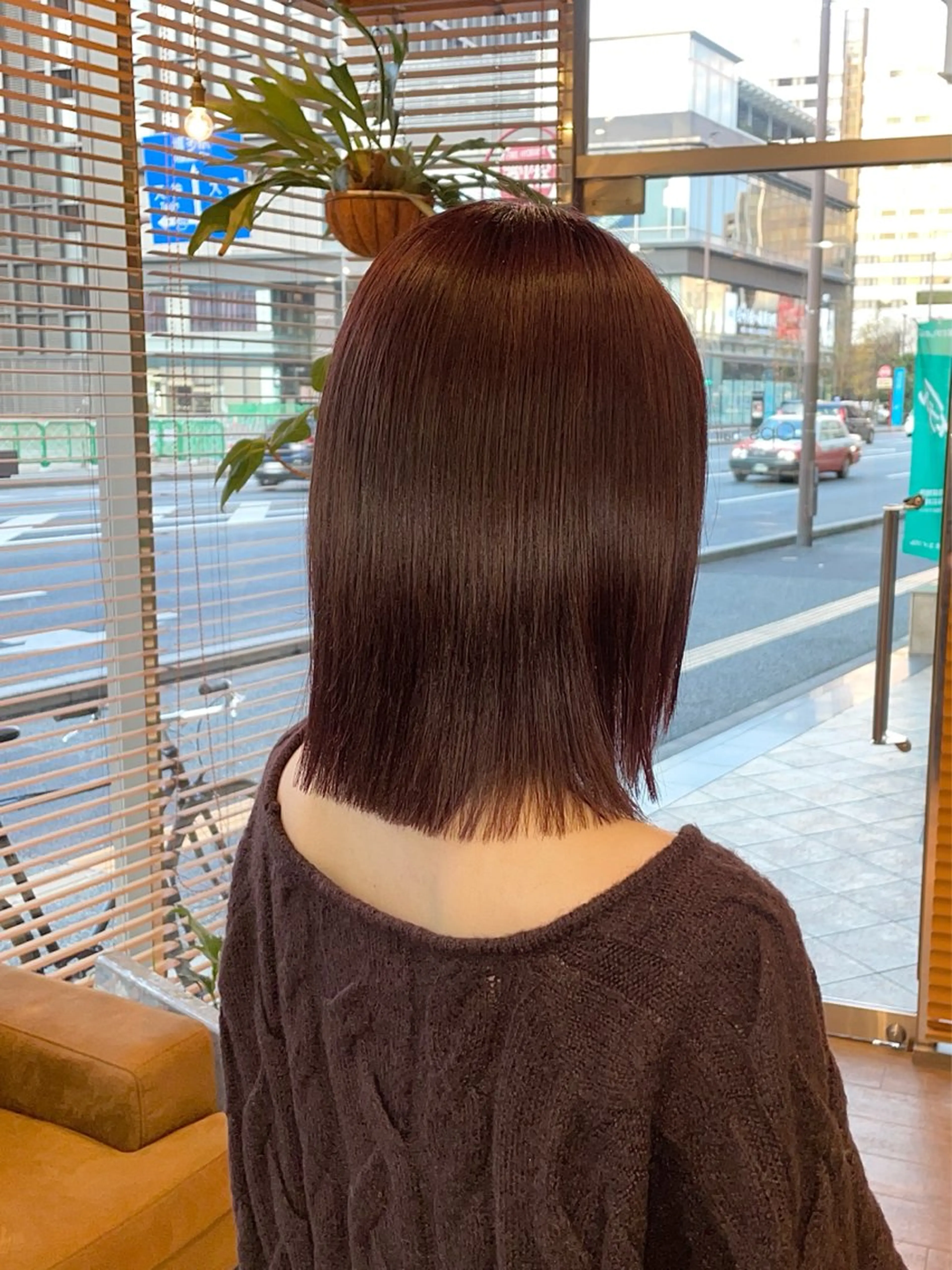 ミディアム カラー イルミナカラー ボブ 髪質改善 カット ヘアカラー トリートメント ショート/ボブ/ メンズ/縮毛矯正のヘアスタイル