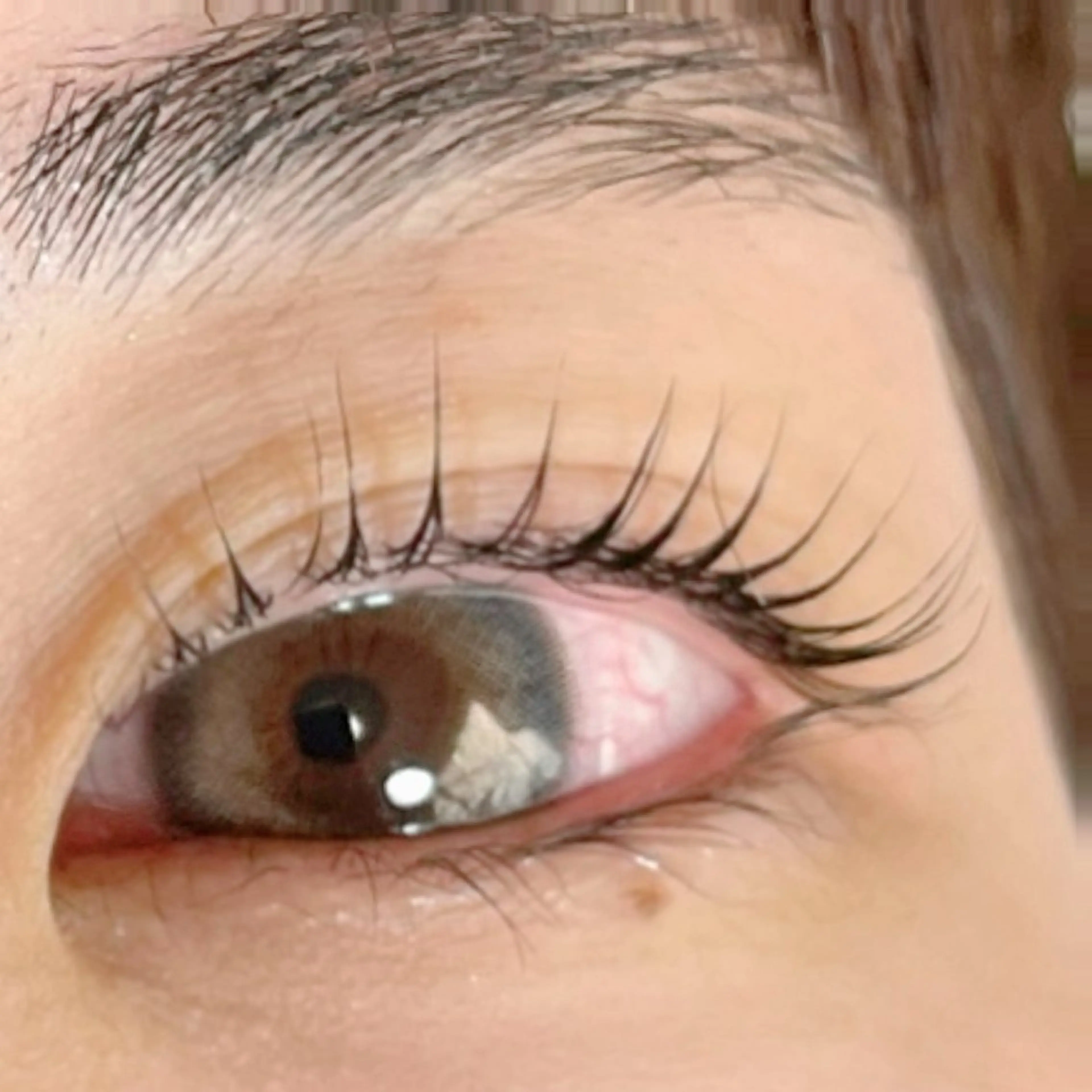 マツエク・マツパ パリジェンヌラッシュリフト まつげパーマ 🧸 Emiri🫧のマツエク・マツパデザイン