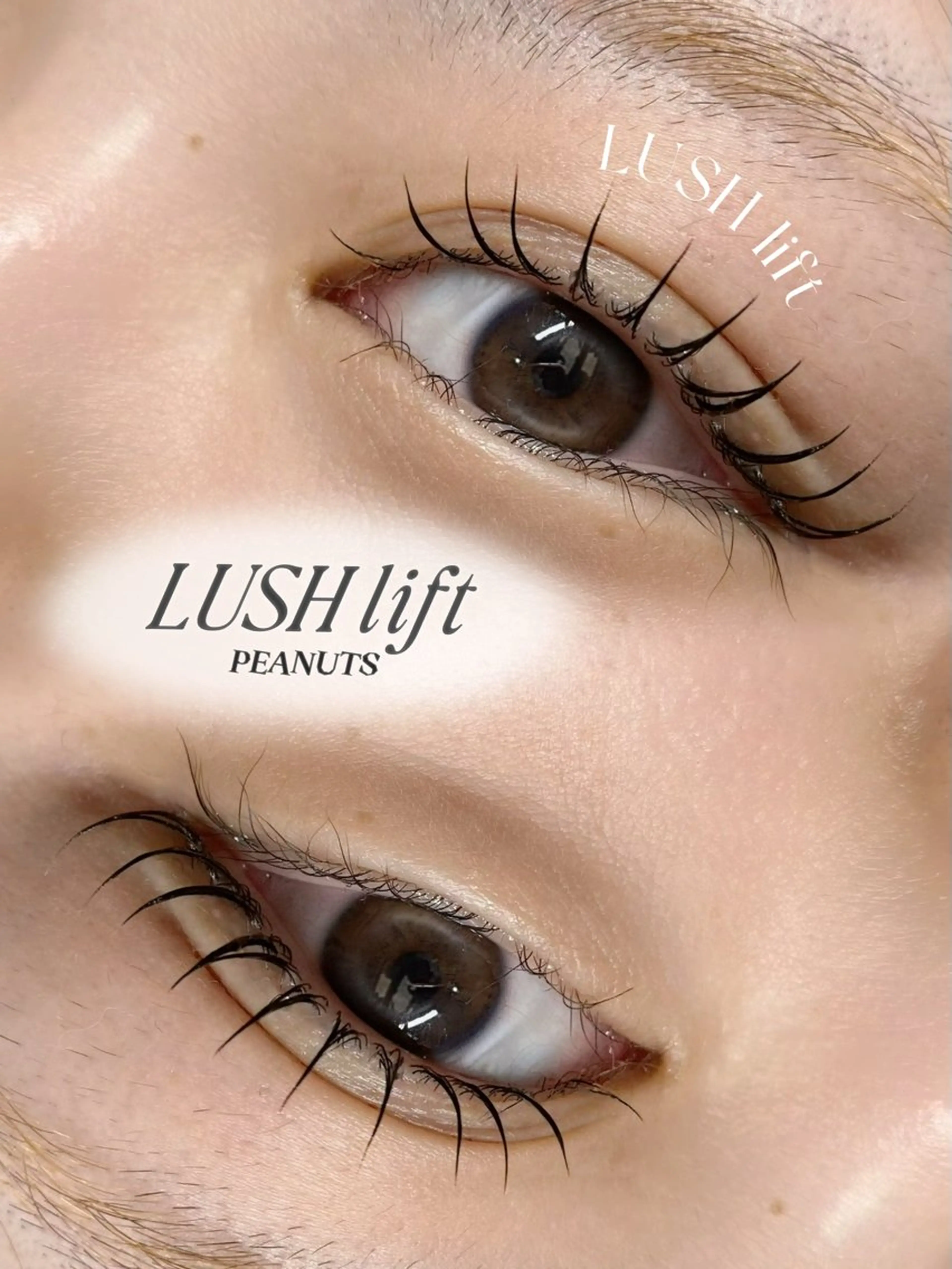 マツエク・マツパ 韓国風マツエク ナチュラル パリジェンヌラッシュリフト 一重×まつ毛パーマ マツパ sol/ saki🫧🍒のマツエク・マツパデザイン