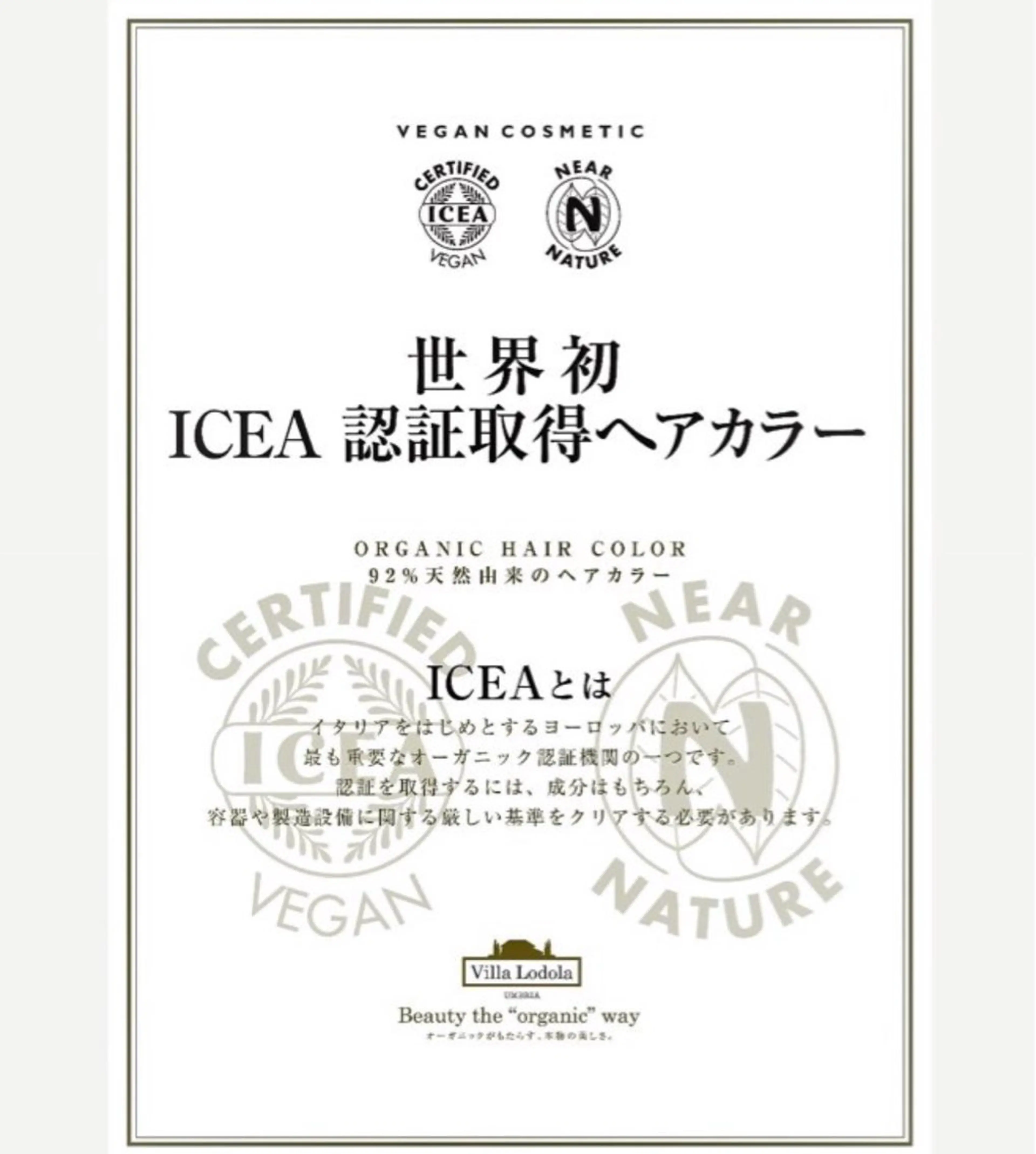 カラー 阪口 萌のヘアスタイル