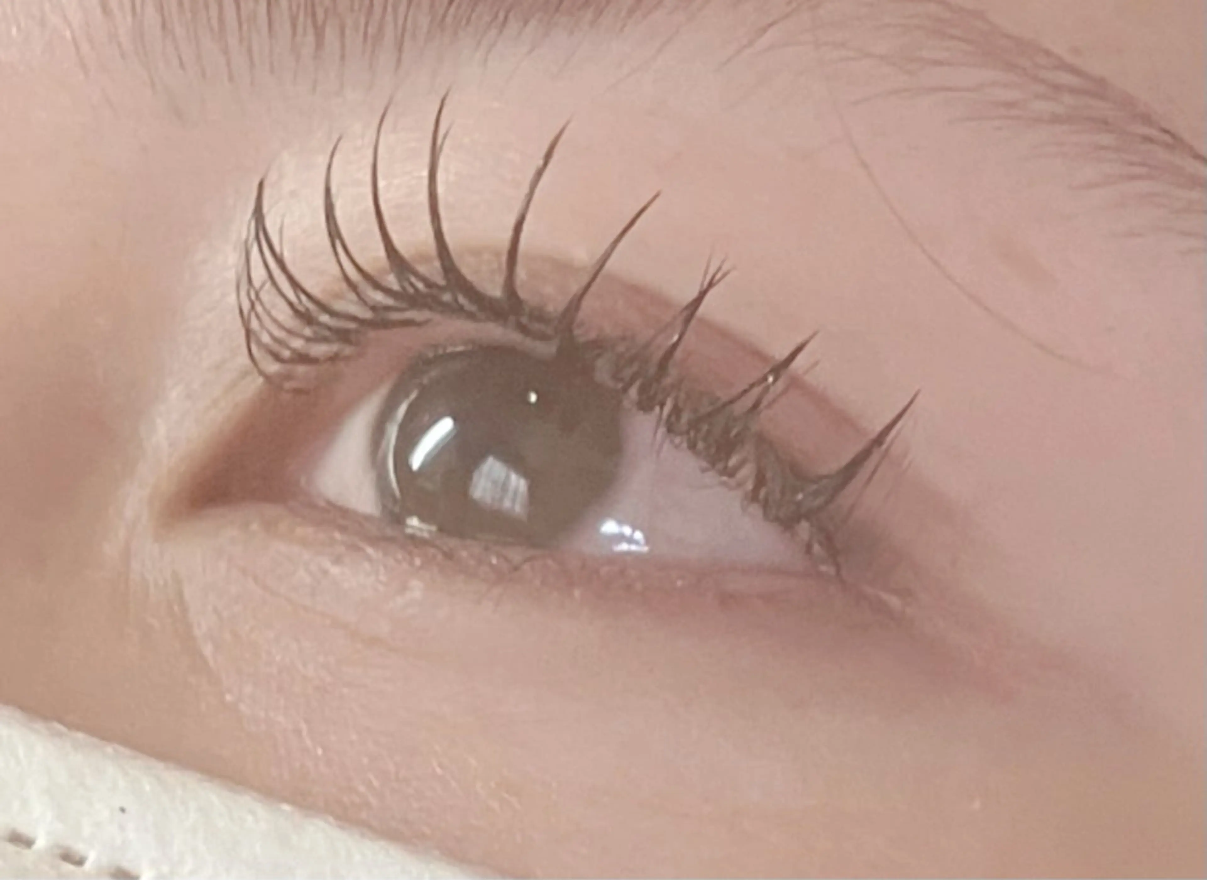 マツエク・マツパ フルリ fleuriのマツエク・マツパデザイン