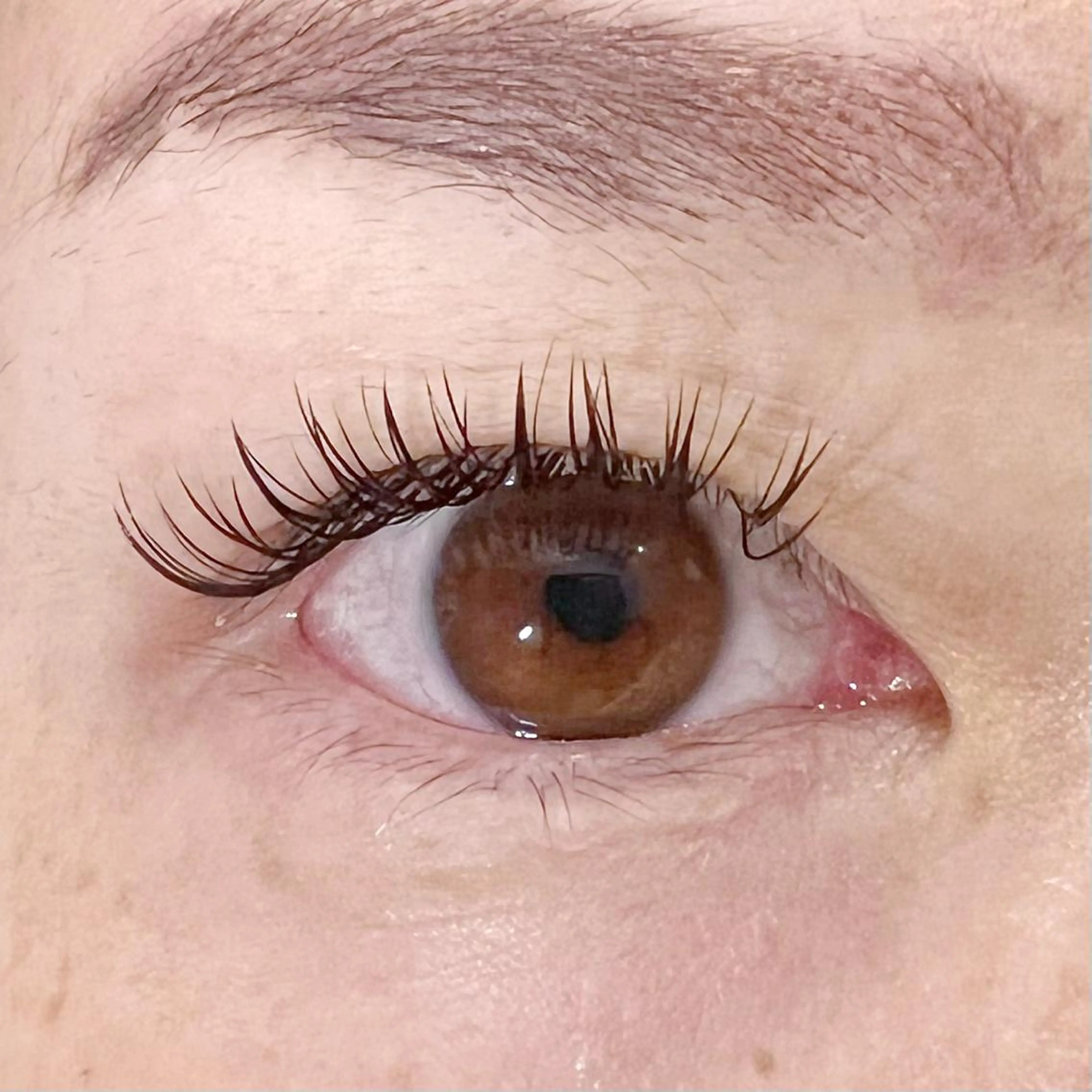 マツエク・マツパ マツエク Celeste Venus所属・🧸Celeste Venusのマツエク・マツパデザイン