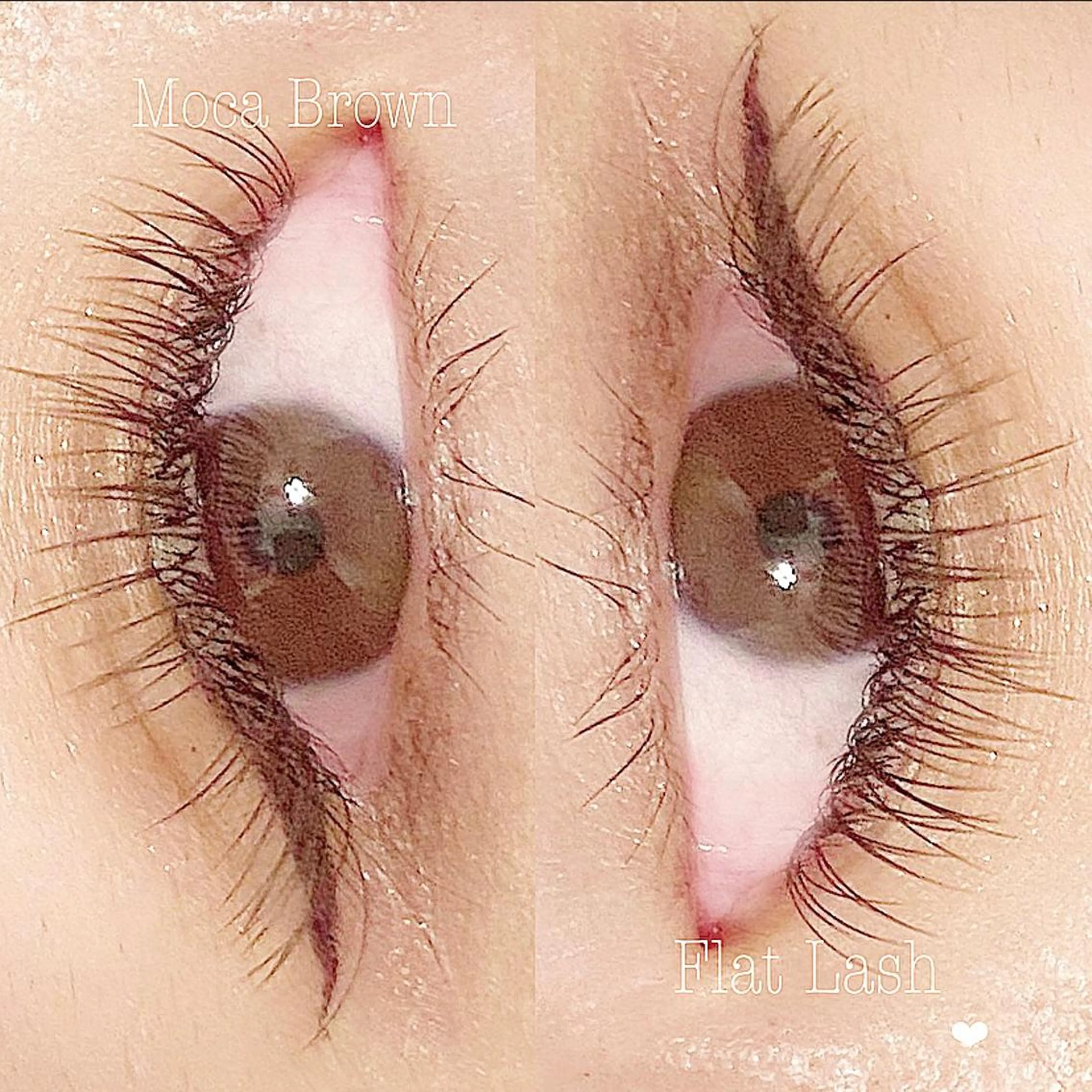 マツエク・マツパ Rexy. RIKACOのマツエク・マツパデザイン