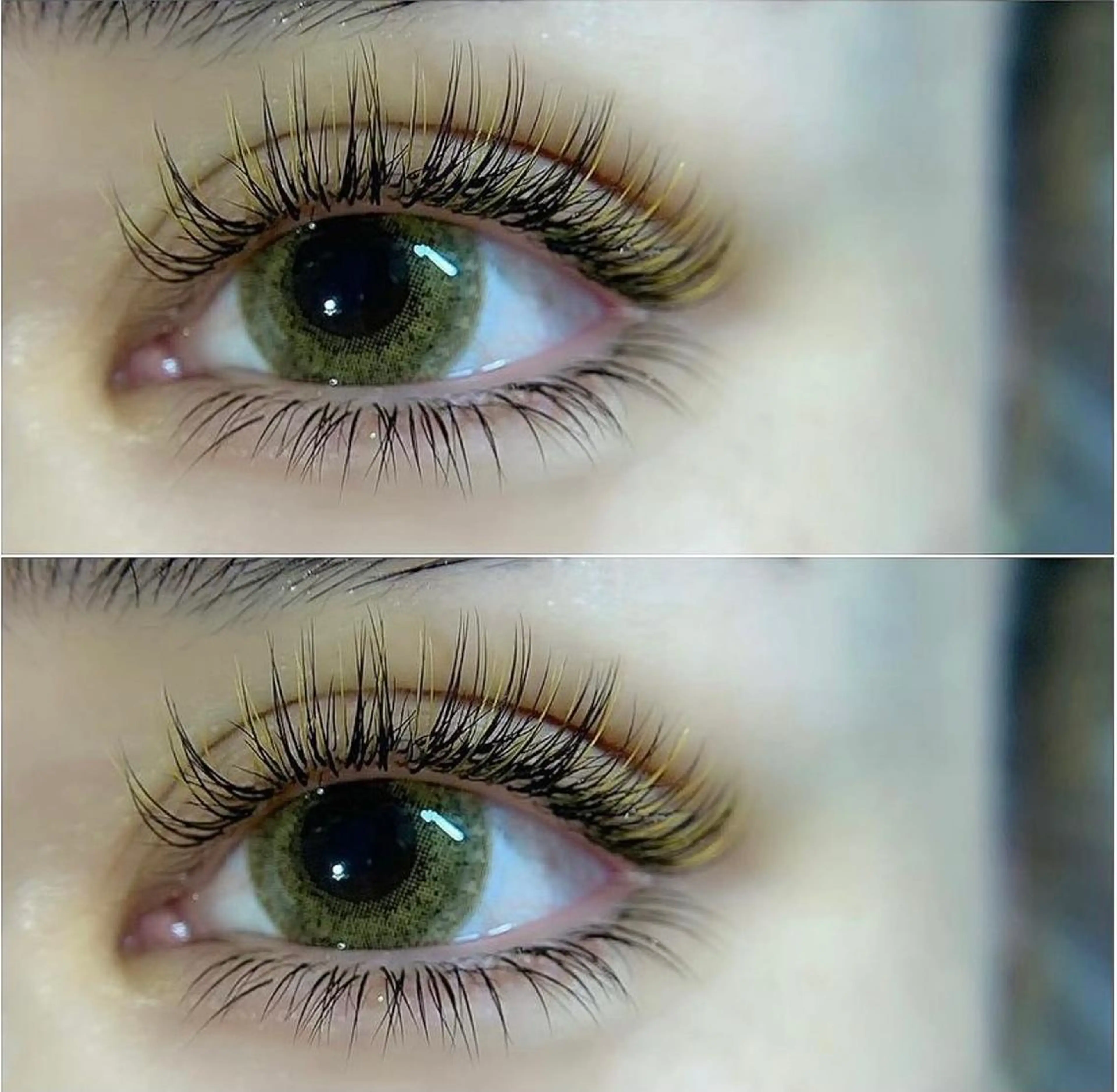 ⭐️【最高級セーブルエクステ】⭐️下まつ毛50本までつけ放題の写真