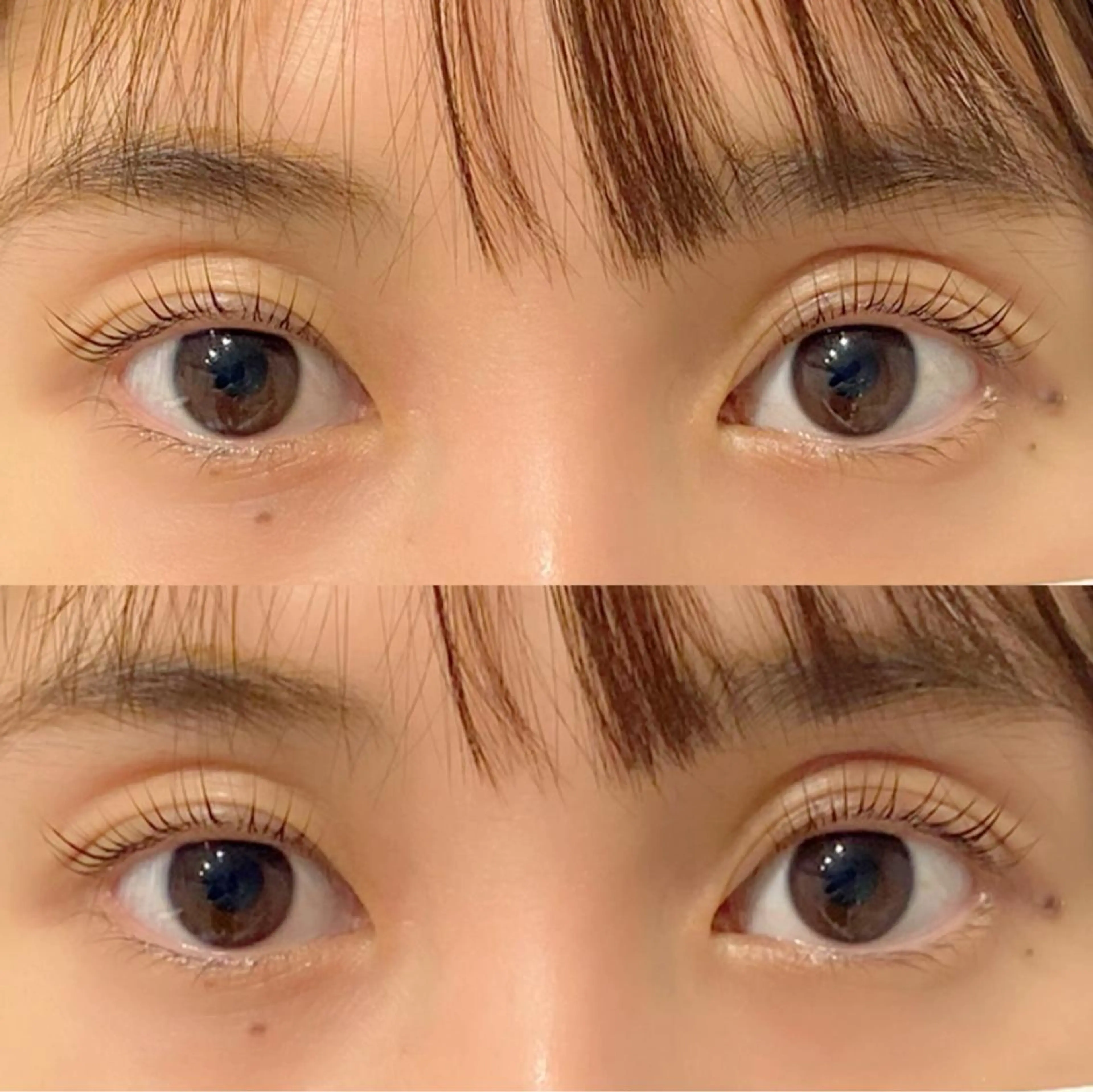 マツエク・マツパ パリジェンヌラッシュリフト kyo kaの眉毛・アイブロウイメージ