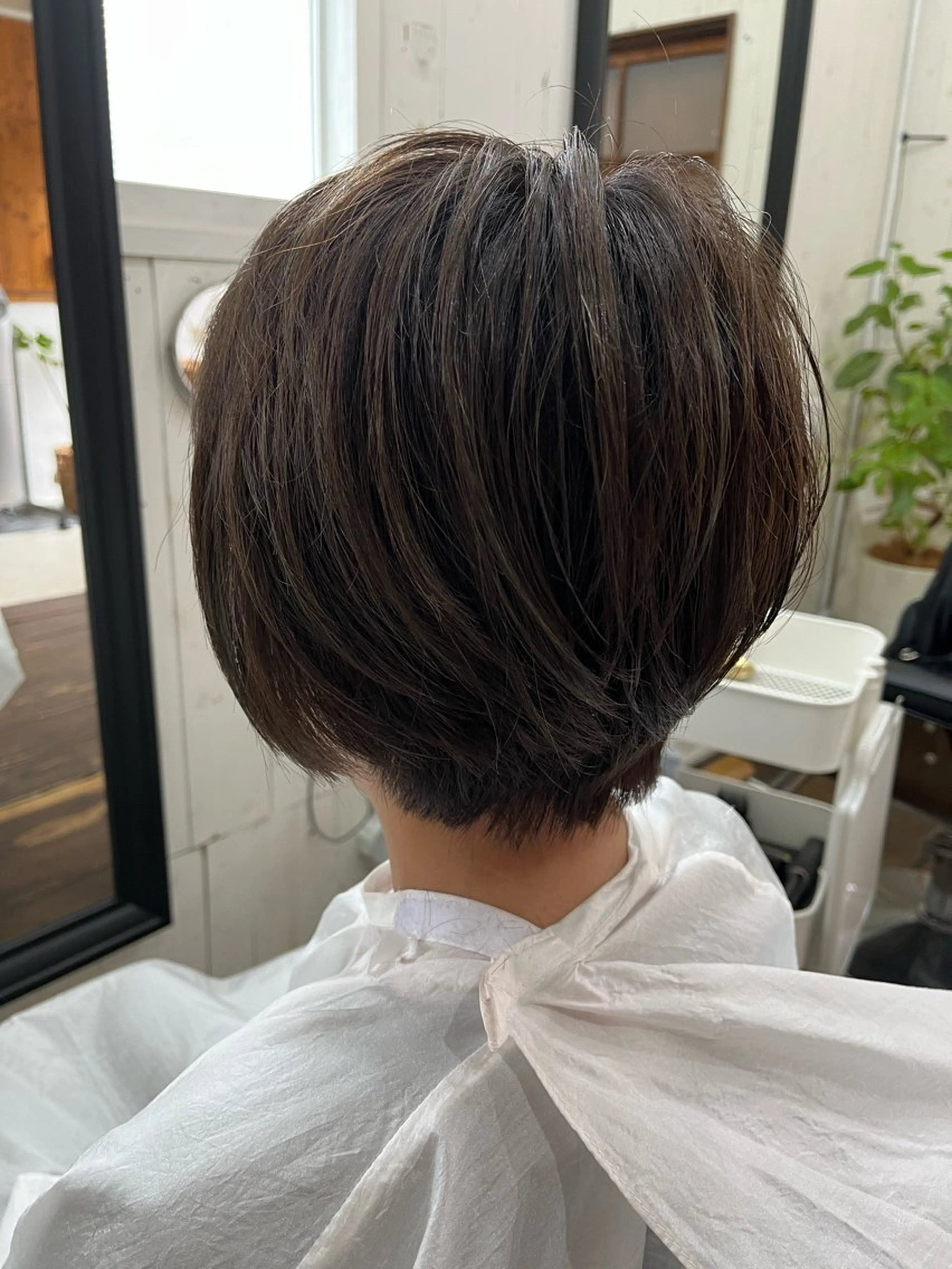 ショート 紙屋 隼人のヘアスタイル