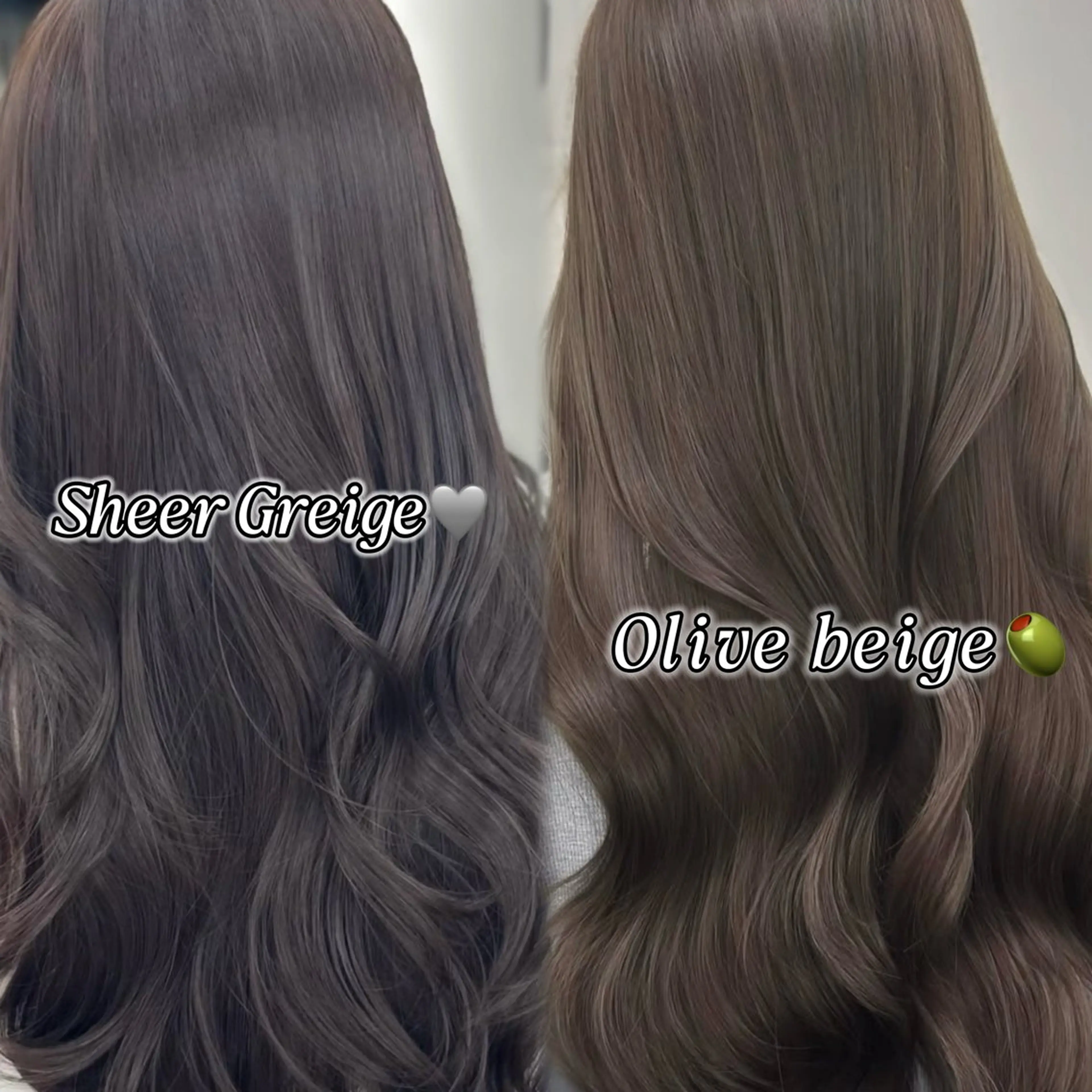 カラー ベージュカラー ブリーチ グレージュ ブリーチなしカラー オリーブベージュ カット ヘアカラー トリートメント 韓国レイヤー🇰🇷 /縮毛矯正💎/月音のヘアスタイル