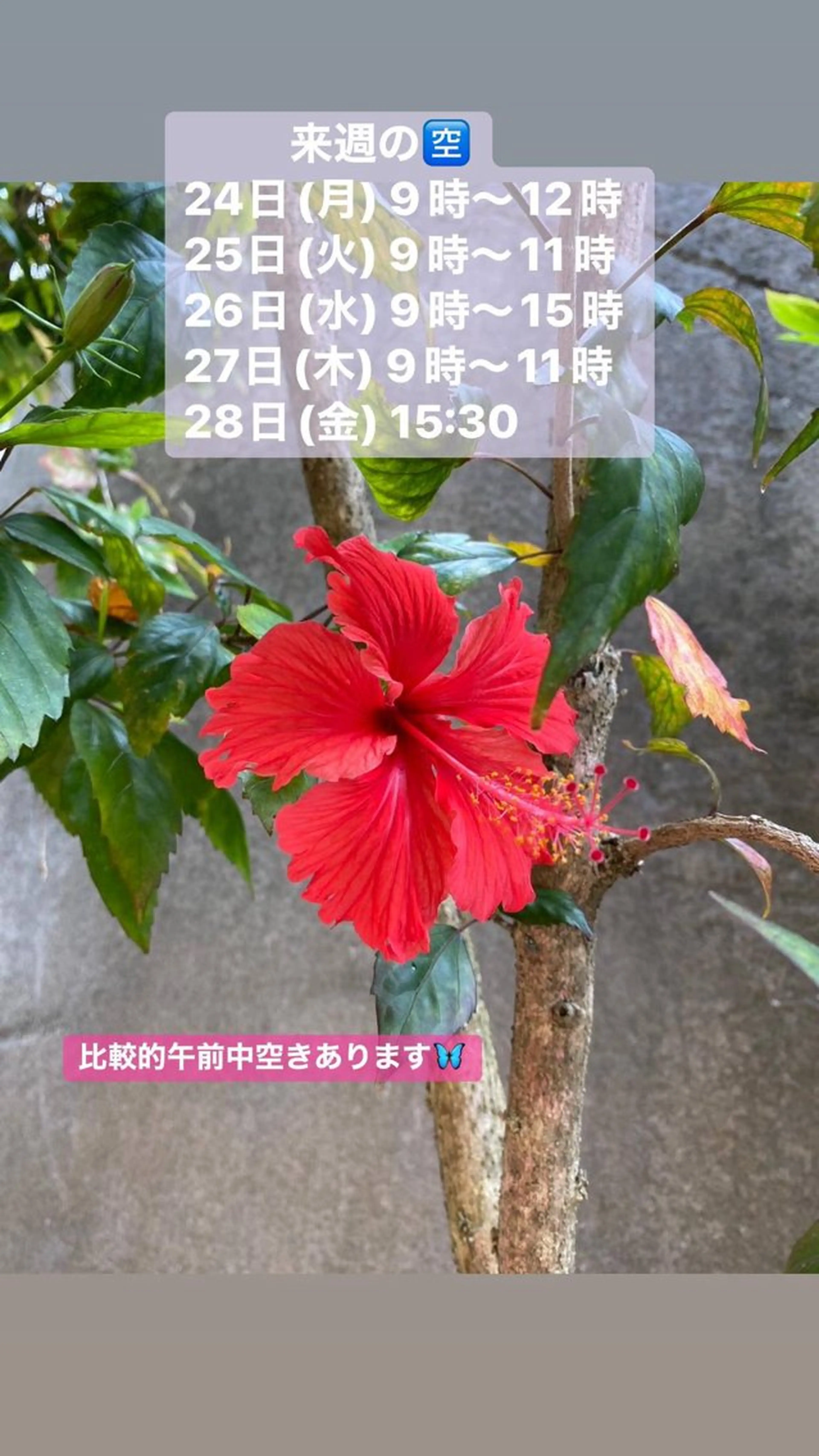 清水 由希のエステ・リラクイメージ