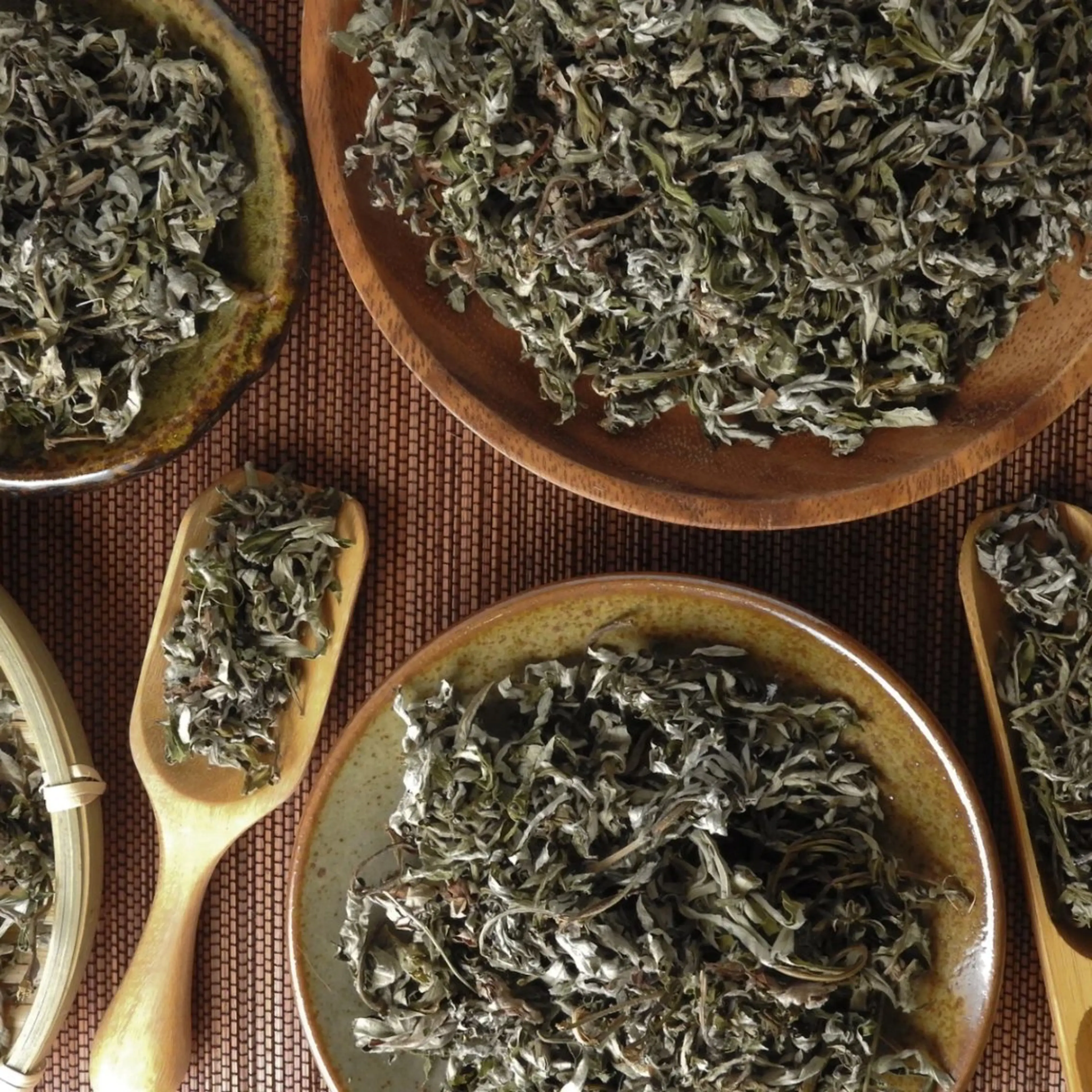 堀江🎀痩身＆フェム 【Satomi】のエステ・リラクイメージ