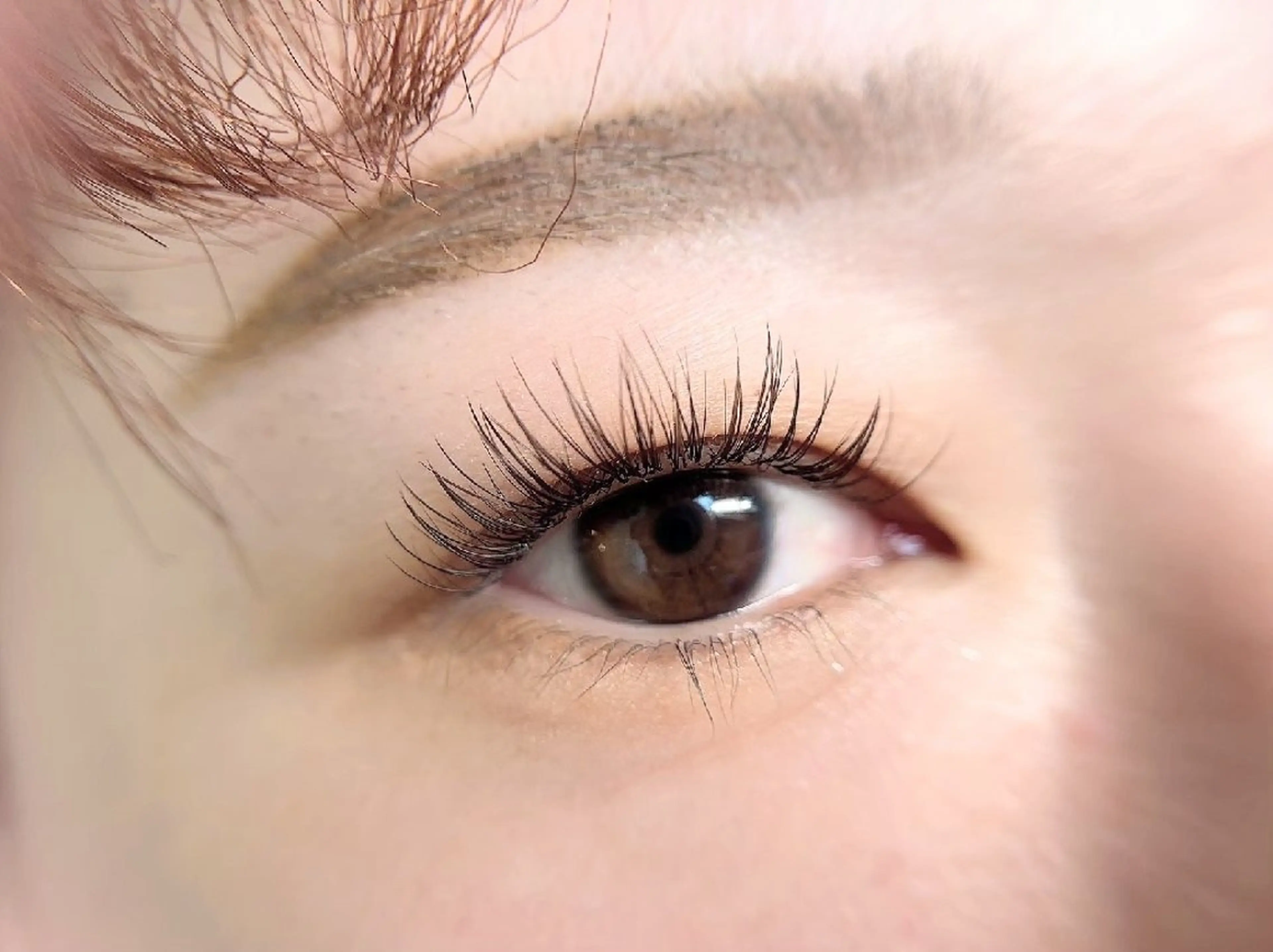 ♥4月限定🌸フラットラッシュ120本+束感コーティングセット♥※リピーター様+550円の写真