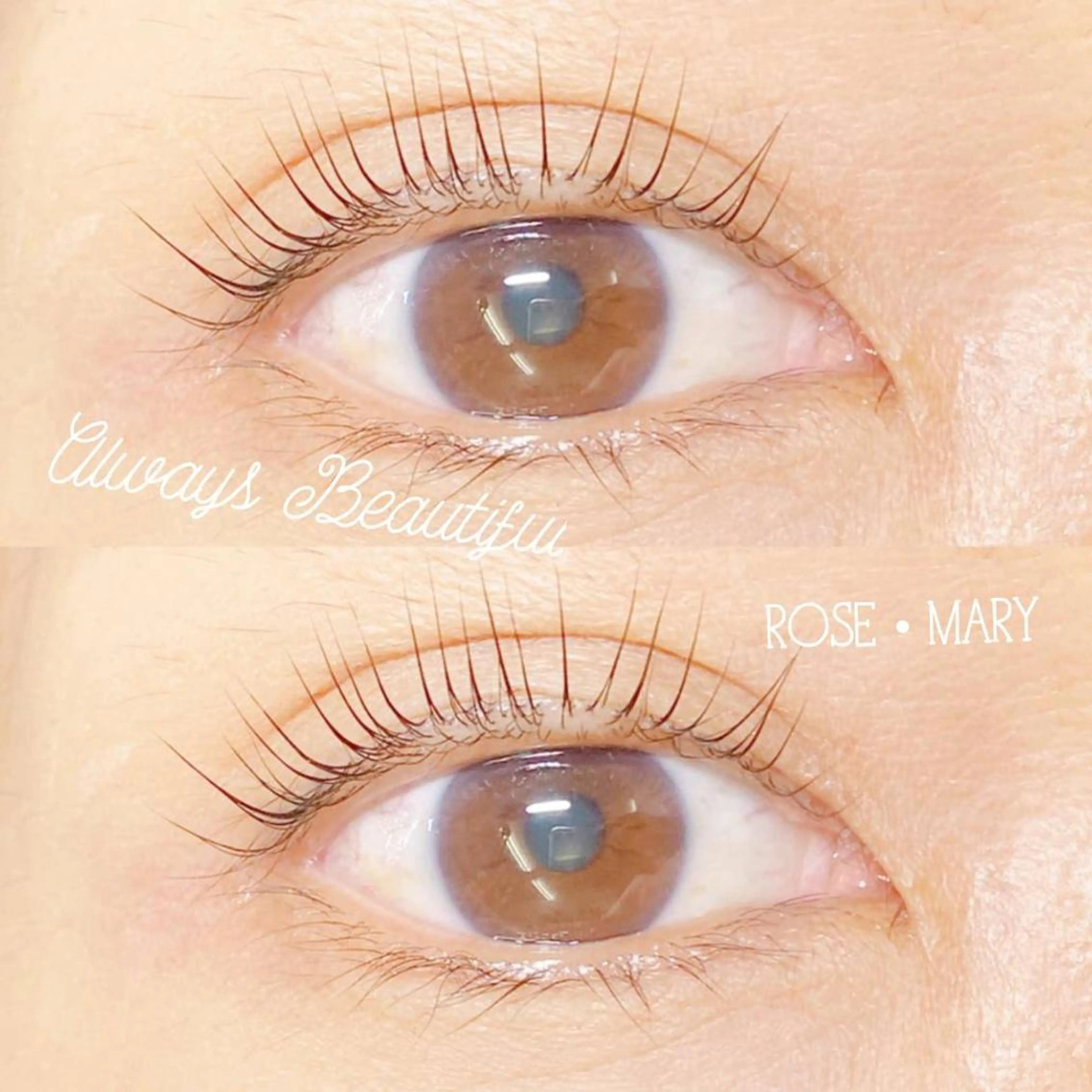 マツエク・マツパ Lカール マツパ ROSE MARY 大竹のマツエク・マツパデザイン