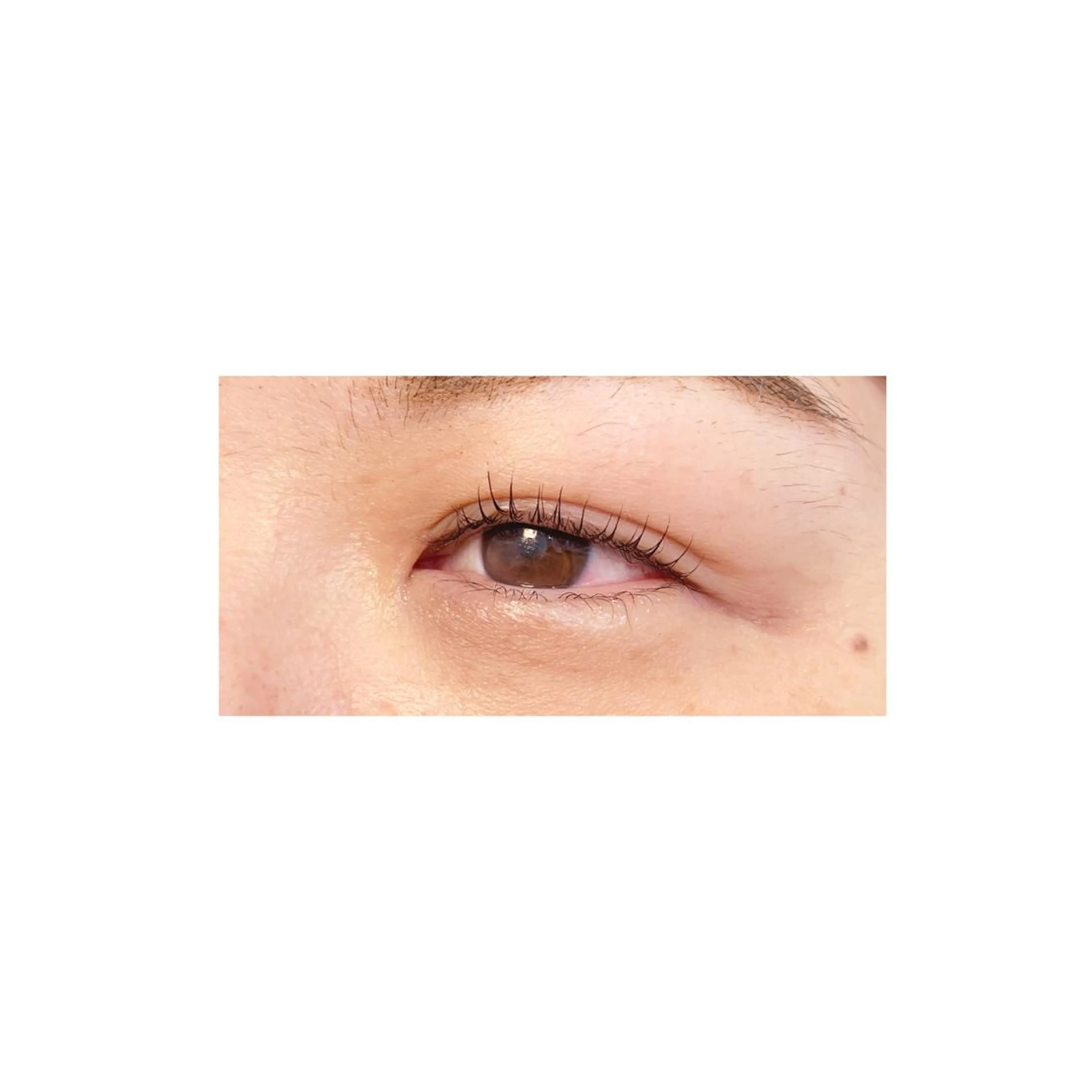 マツエク・マツパ アイブロウ プロカラーカレン 藤井寺店のマツエク・マツパデザイン