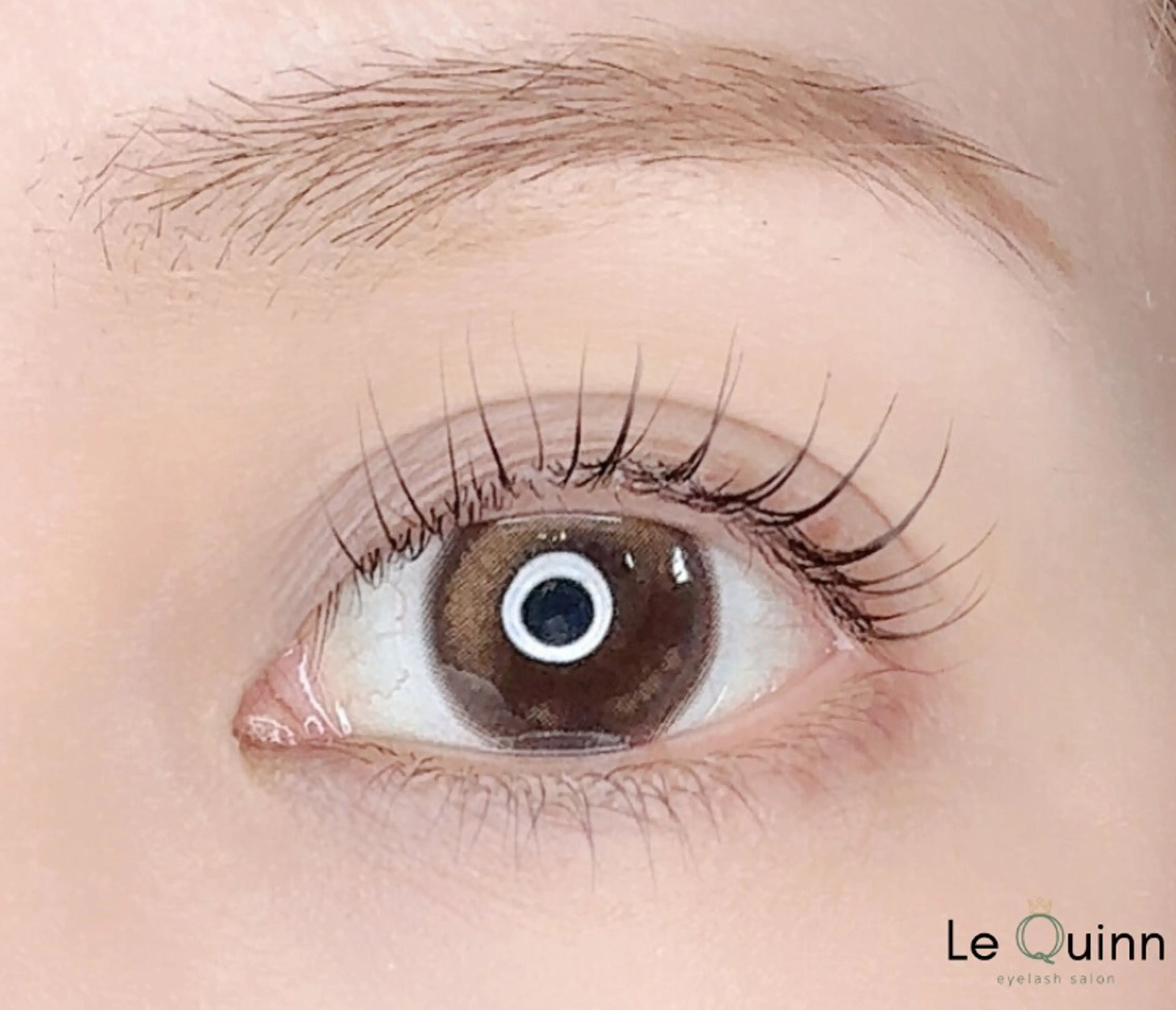 マツエク・マツパ まつげパーマ 下まつげエクステ Le Quinn🍃 くれあ/恵比寿のマツエク・マツパデザイン